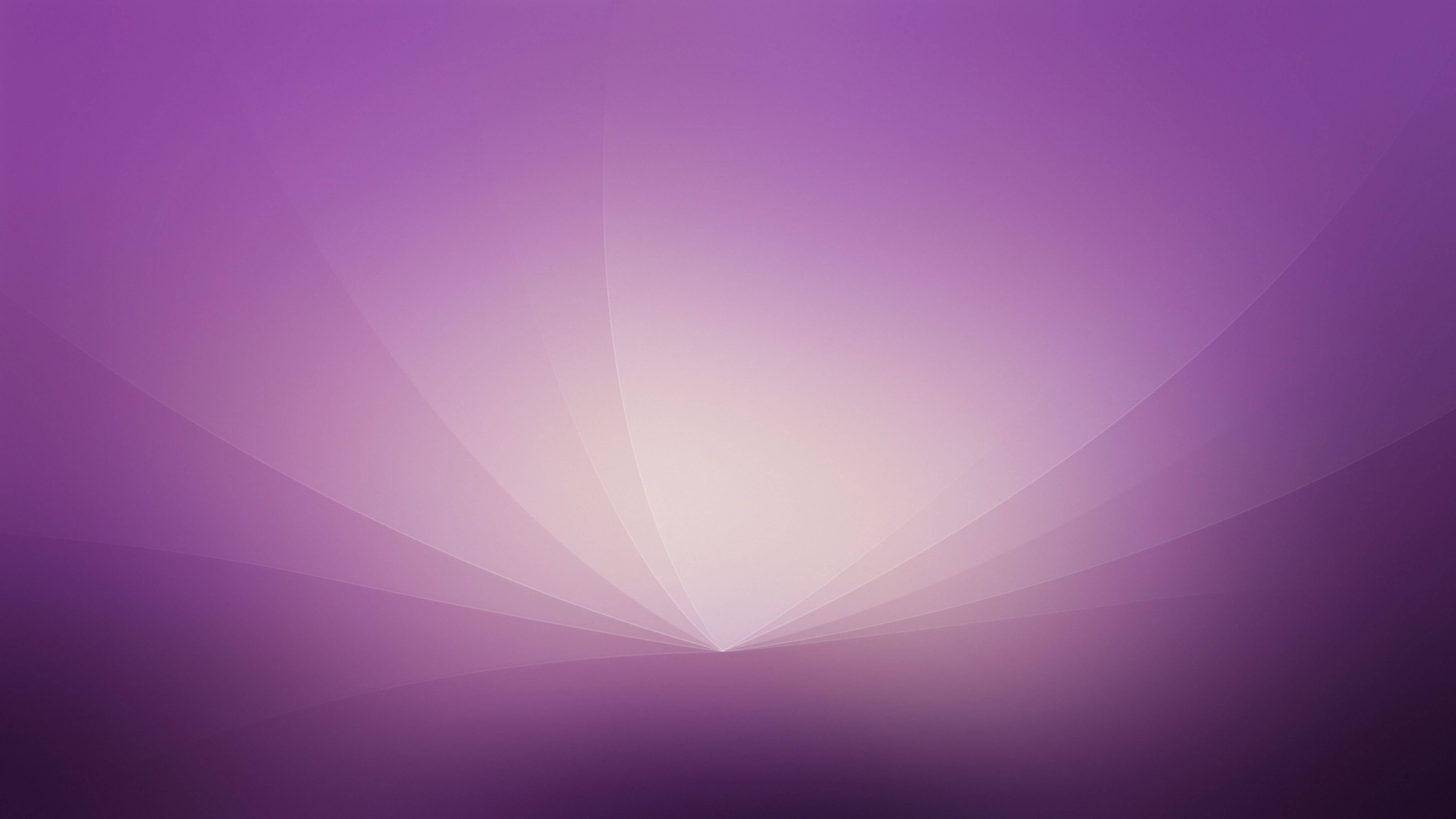 purple bloom abstract pattern, soft purple gradient, bright white center, 5K Desktop Wallpaper