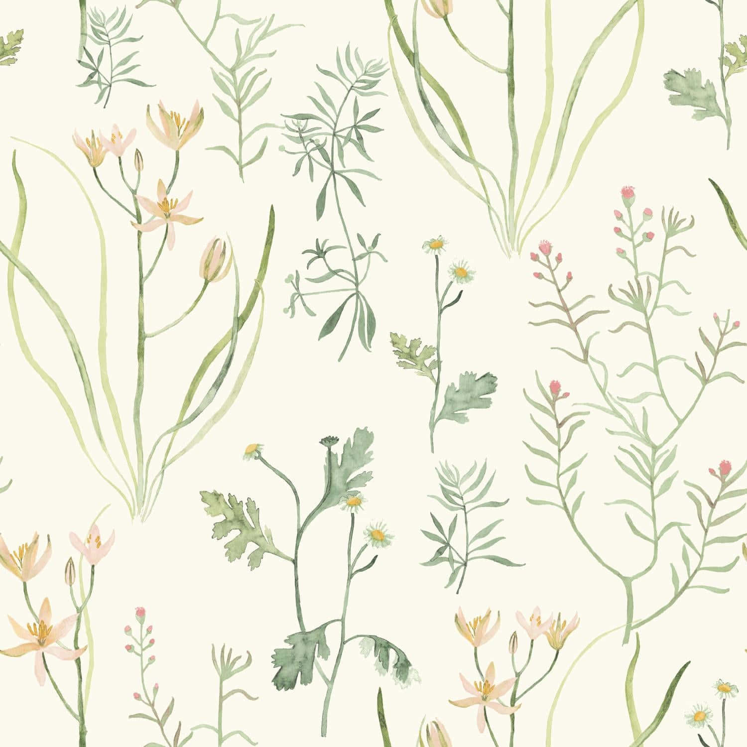 botanical pattern, watercolor floral wallpaper pattern, soft green stems, HD Desktop Wallpaper