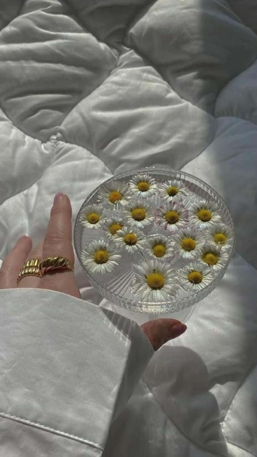 Daisy Glass Aesthetic, gold ring, glass bowl, Full HD Phone Wallpaper