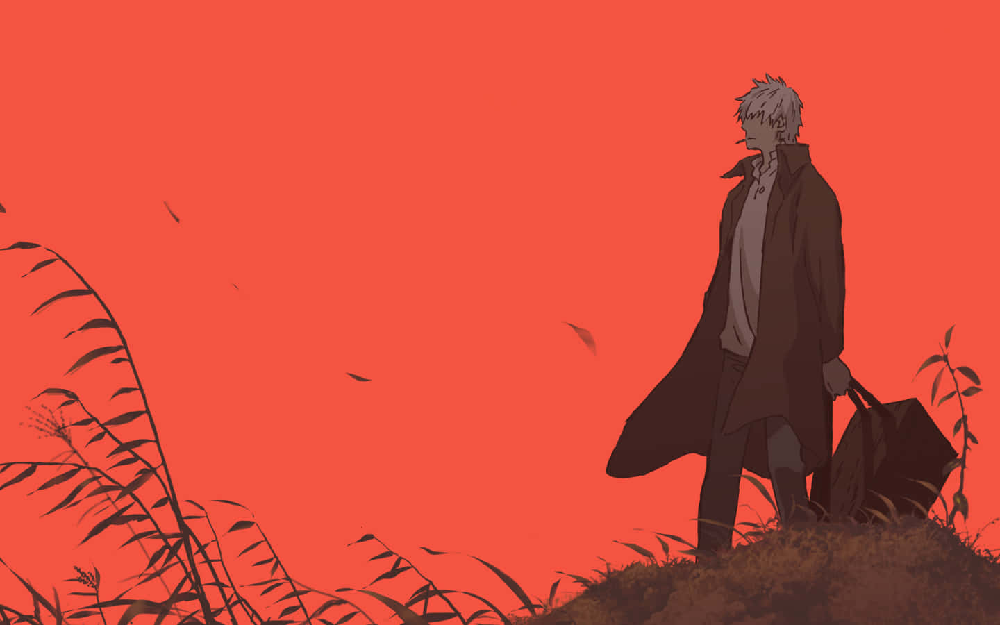 silver-haired anime man, dark coat, fiery orange sky, HD Desktop Wallpaper