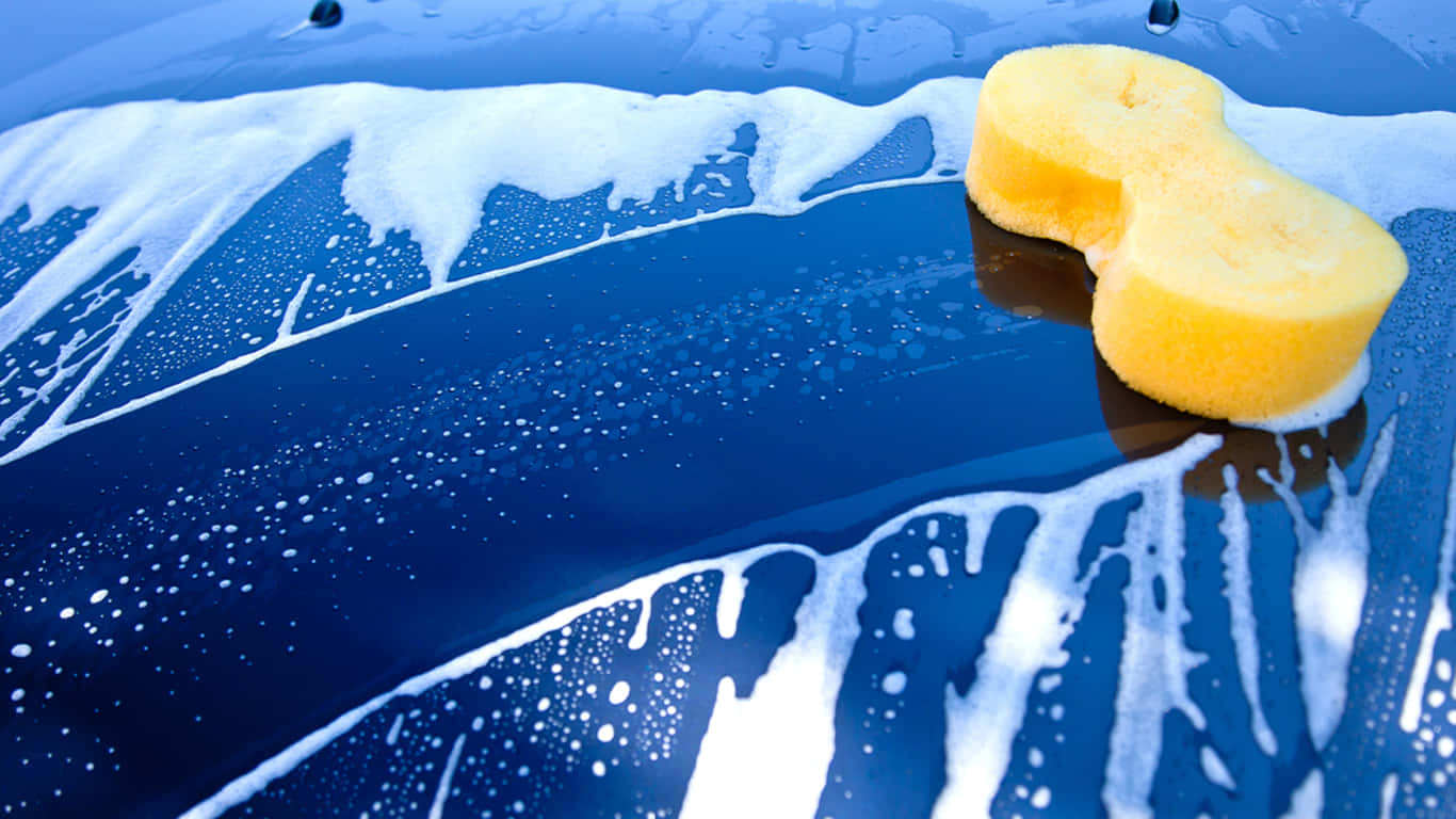 yellow sponge, glossy blue car hood, white soap foam, HD Desktop Wallpaper