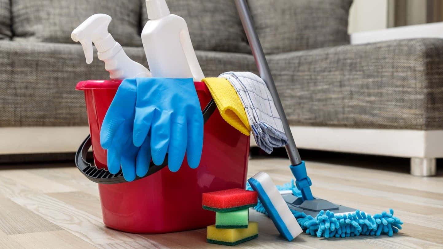 red bucket, cleaning supplies, wooden floor, HD Desktop Wallpaper