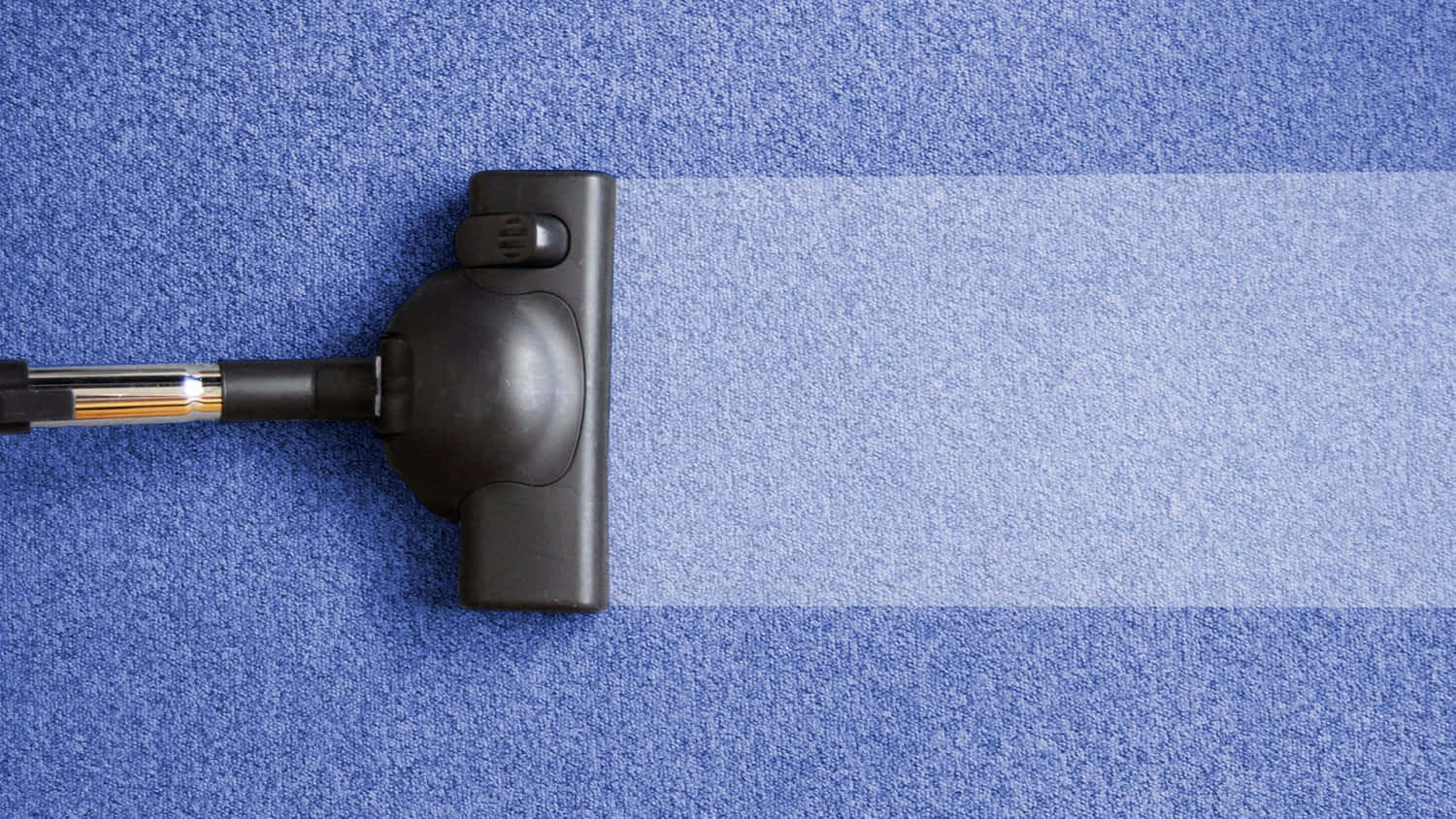 indigo carpet, black vacuum cleaner nozzle, blue carpet, HD Desktop Wallpaper
