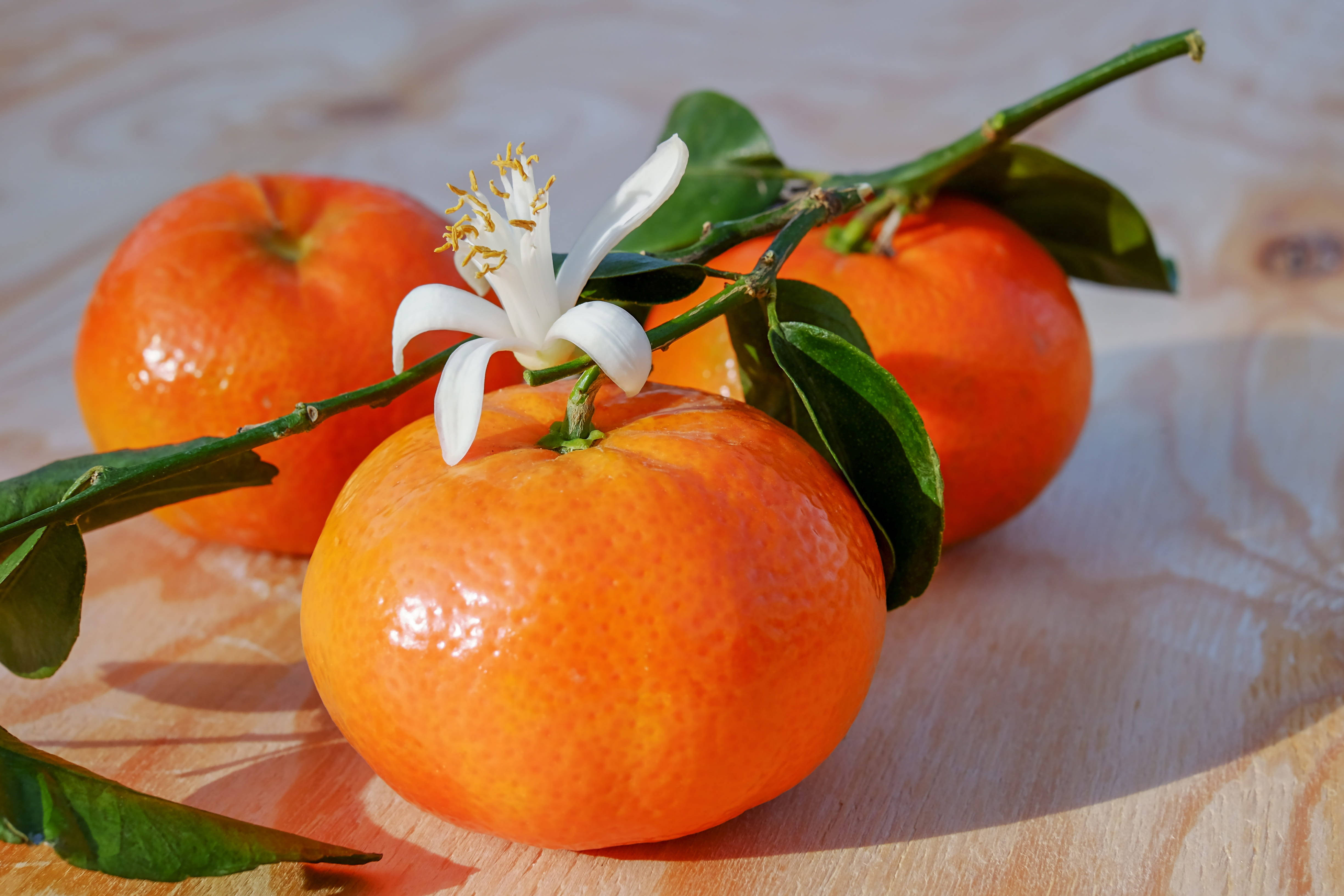 Clementine, orange mandarins, green leaves, 4K Desktop Wallpaper