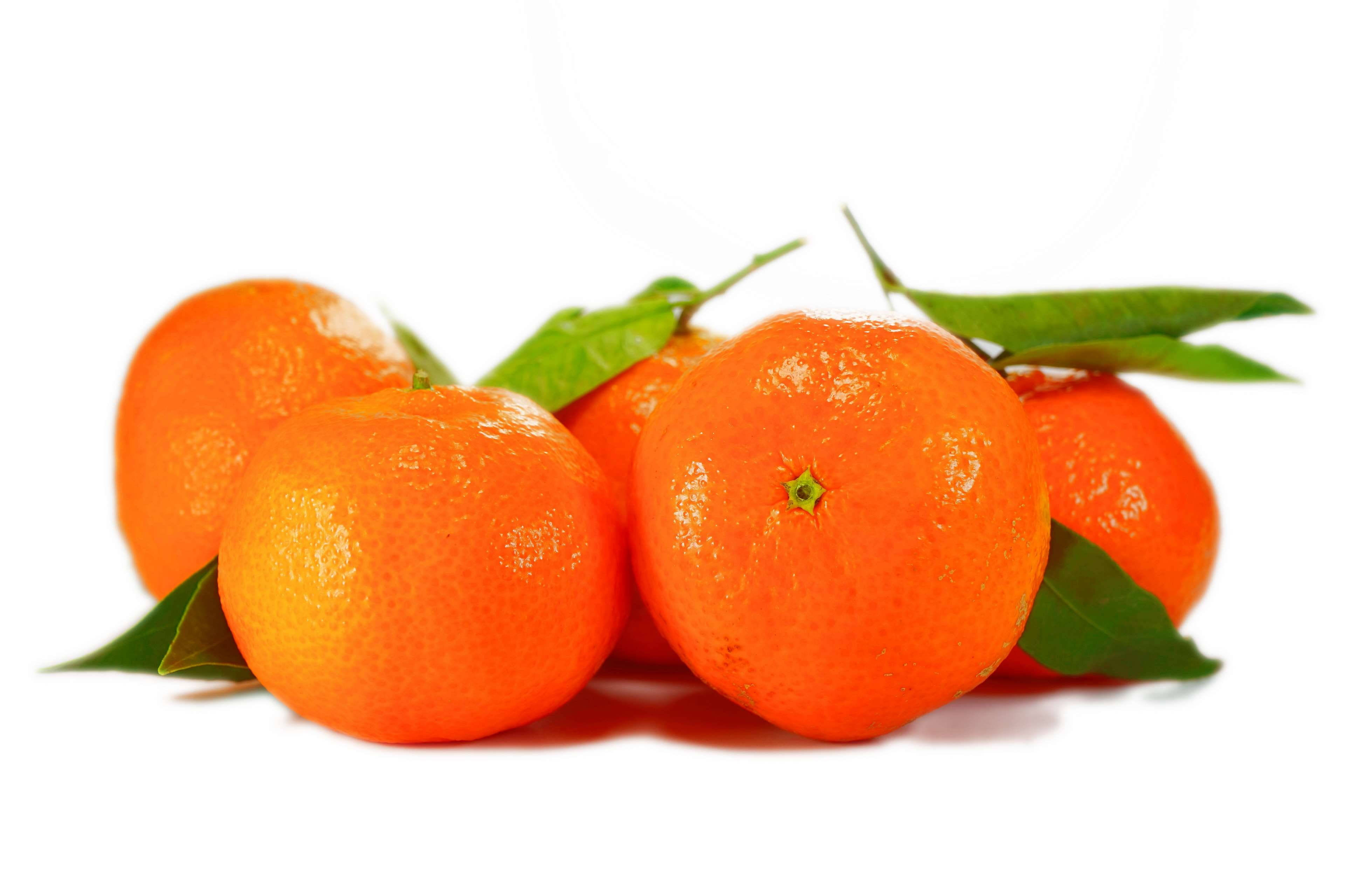 bright orange clementine, tangerines, fresh green leaves, 4K Desktop Wallpaper