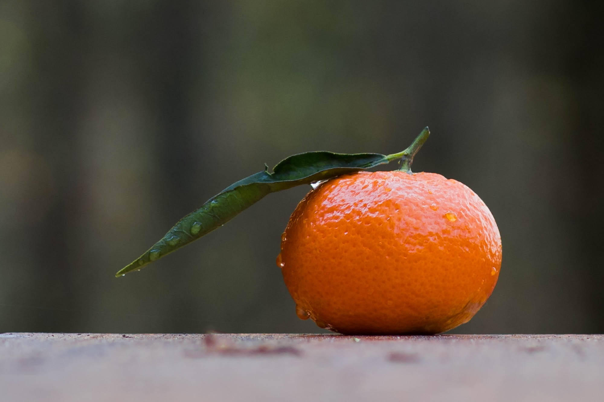 Clementine, orange citrus fruit, green leaf, Full HD Desktop Wallpaper