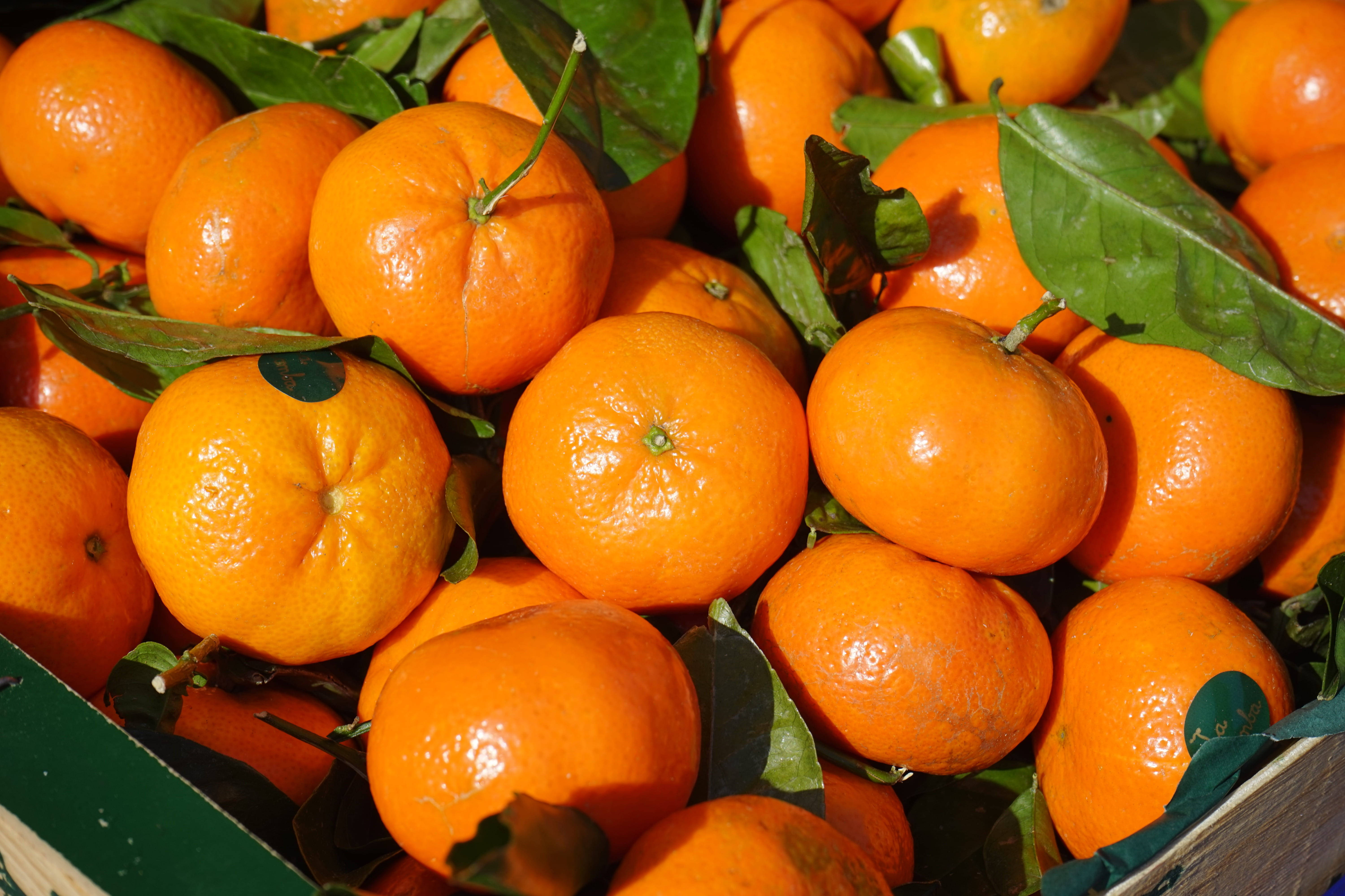 clementine fruits, wooden crate, green leaves, 5K Desktop Wallpaper