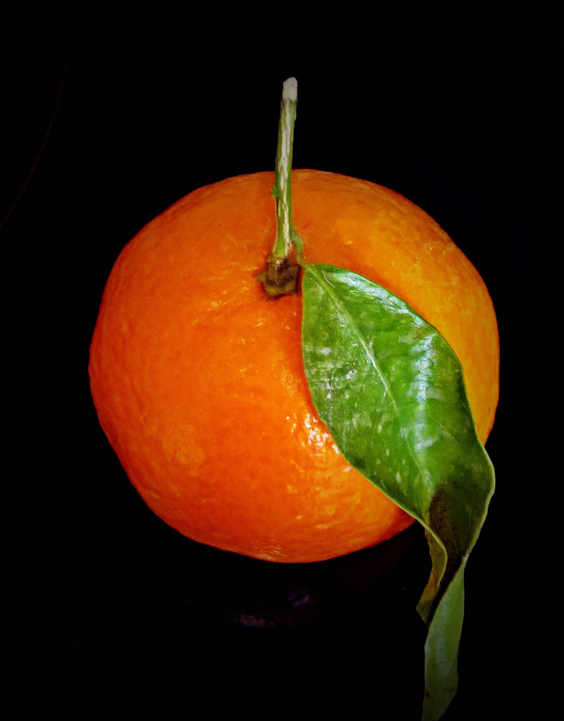 Clementine, orange citrus fruit, glossy green leaf, Full HD Phone Wallpaper