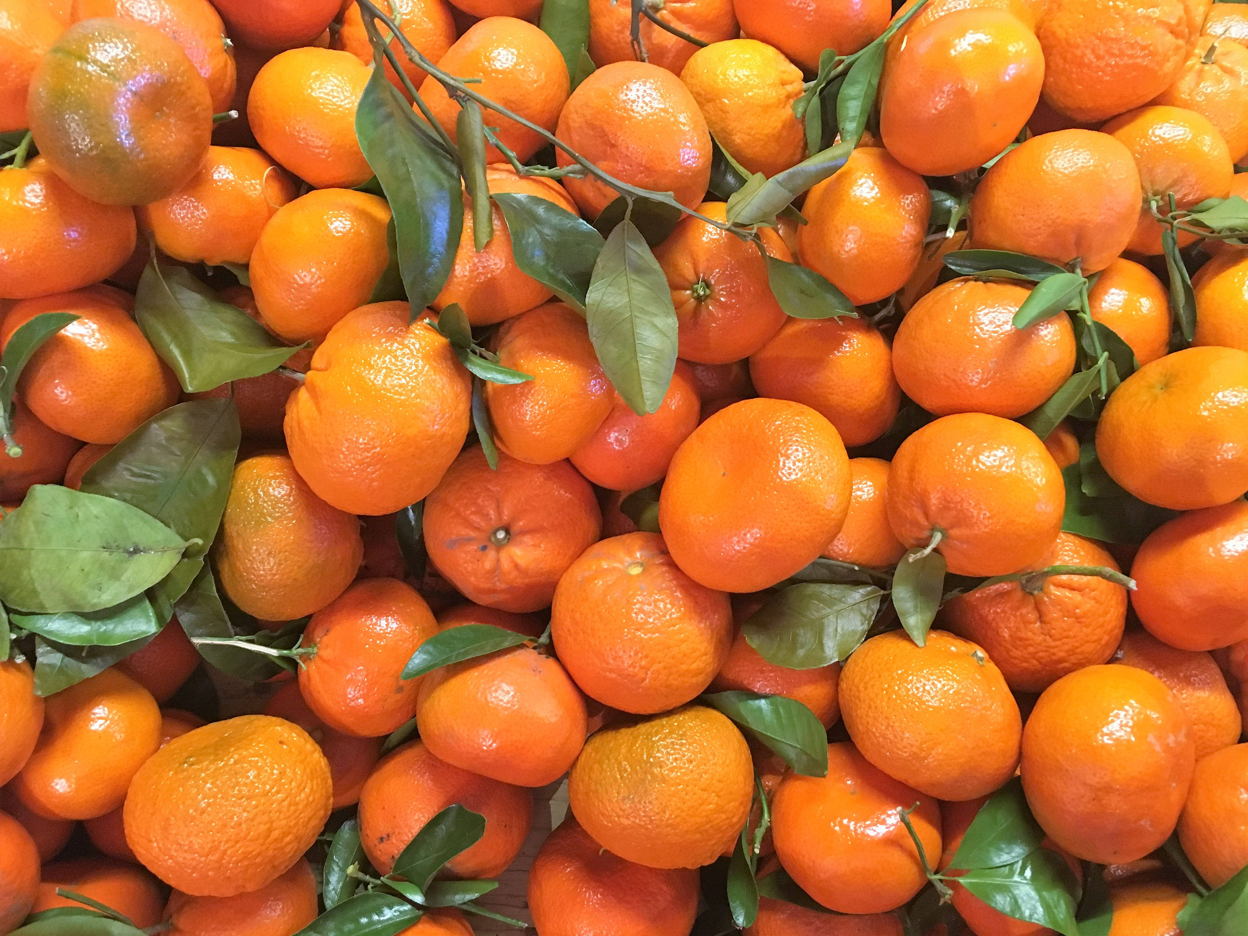 clementine fruits, top view, fresh tangerines, 4K Desktop Wallpaper