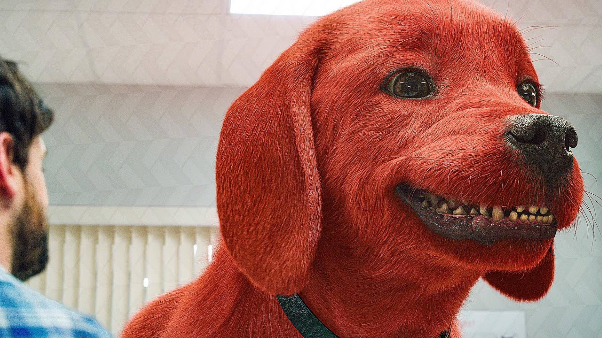 Clifford the Big Red Dog, red, toothy grin, 2K Desktop Wallpaper