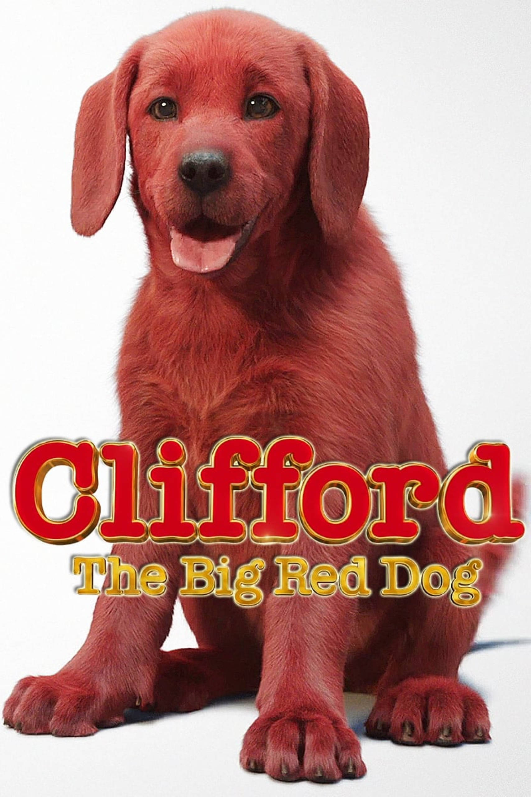 Clifford the big red dog, red Labrador puppy, white background, 2K Phone Wallpaper