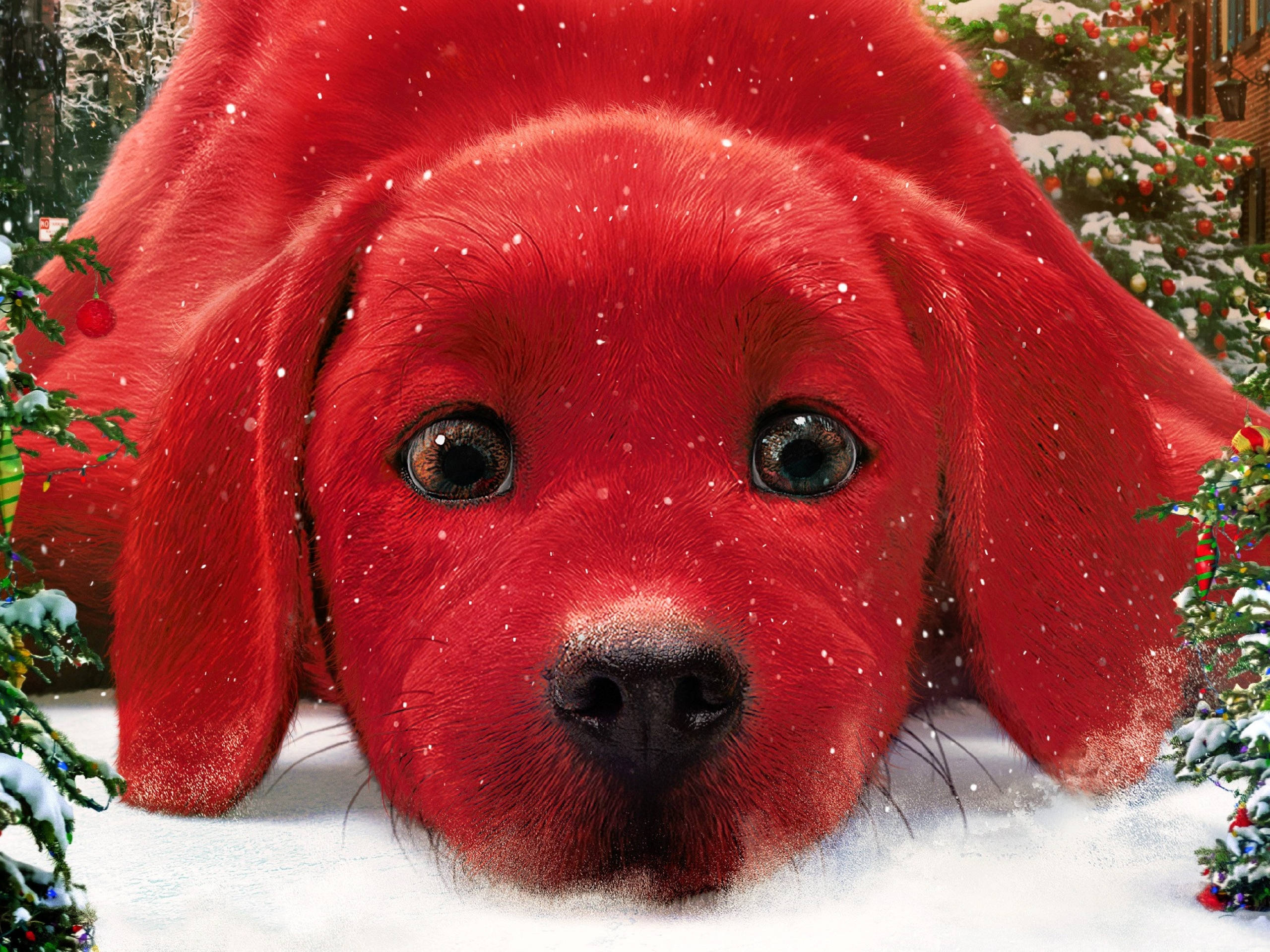 Clifford the big red dog, Christmas, snowy ground, 2K Desktop Wallpaper