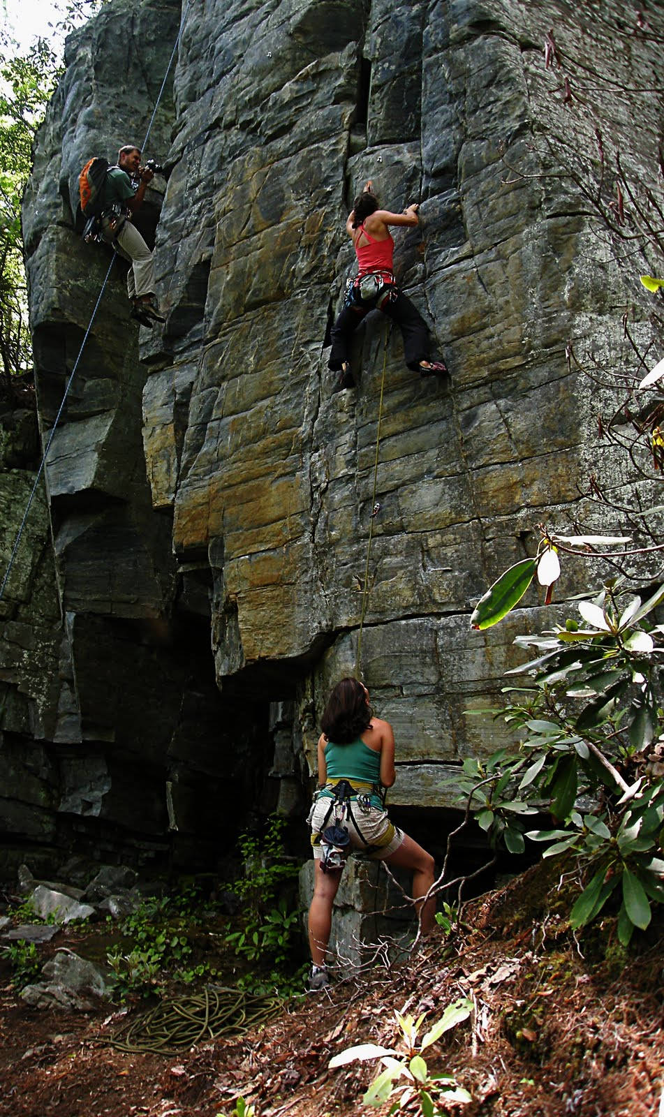 sport climbing, rugged rock face, lush green foliage, HD Phone Wallpaper
