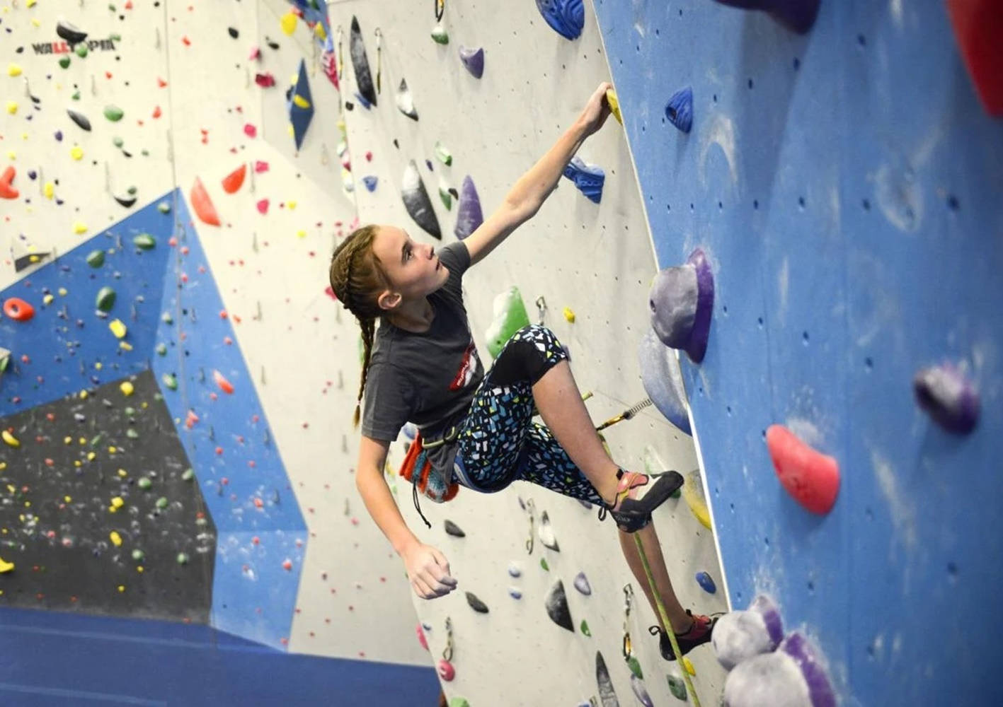 indoor sport climbing, colorful holds, rock wall, HD Desktop Wallpaper