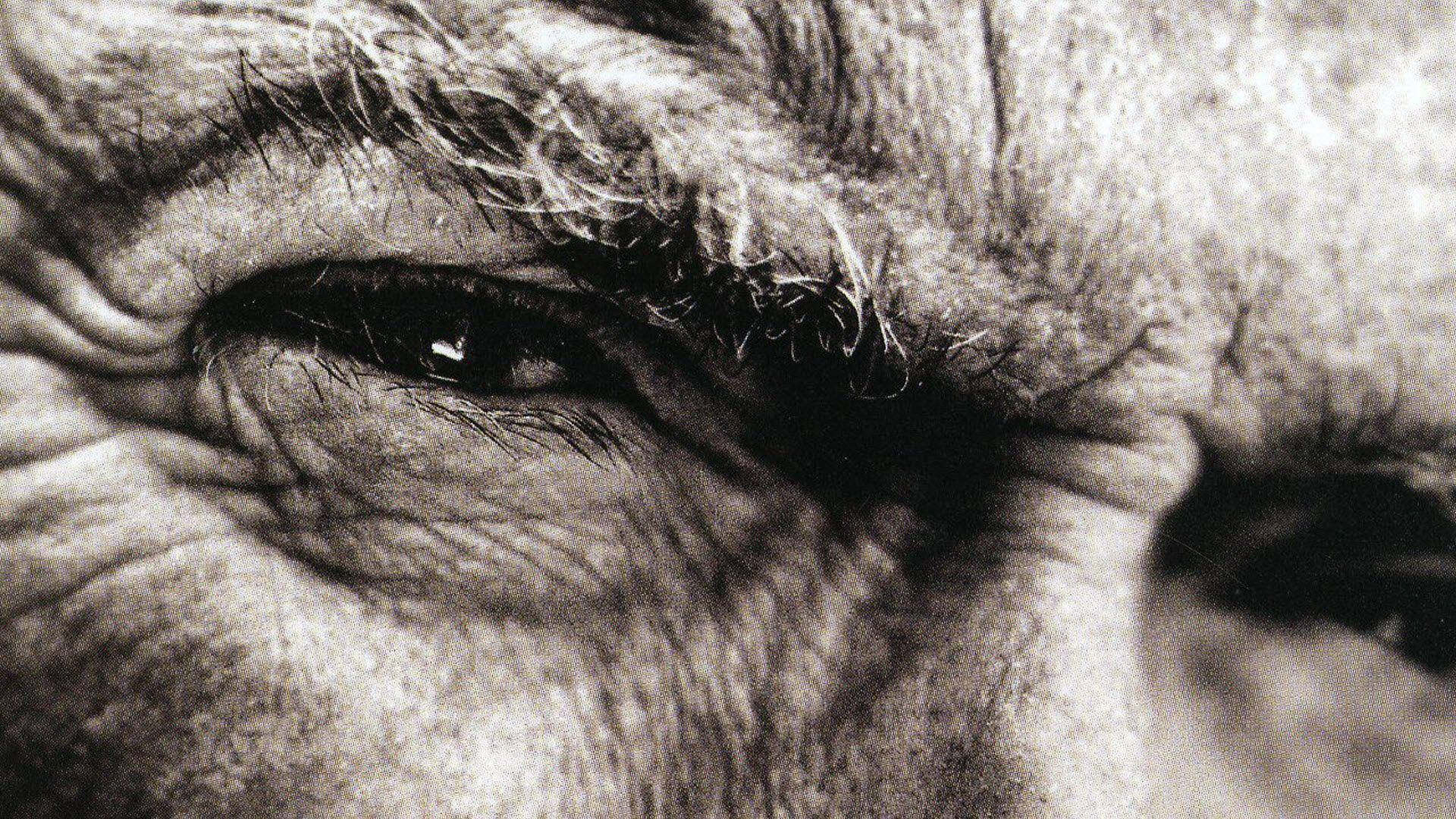 Clint Eastwood, wrinkly eyes, black and white, Full HD Desktop Wallpaper