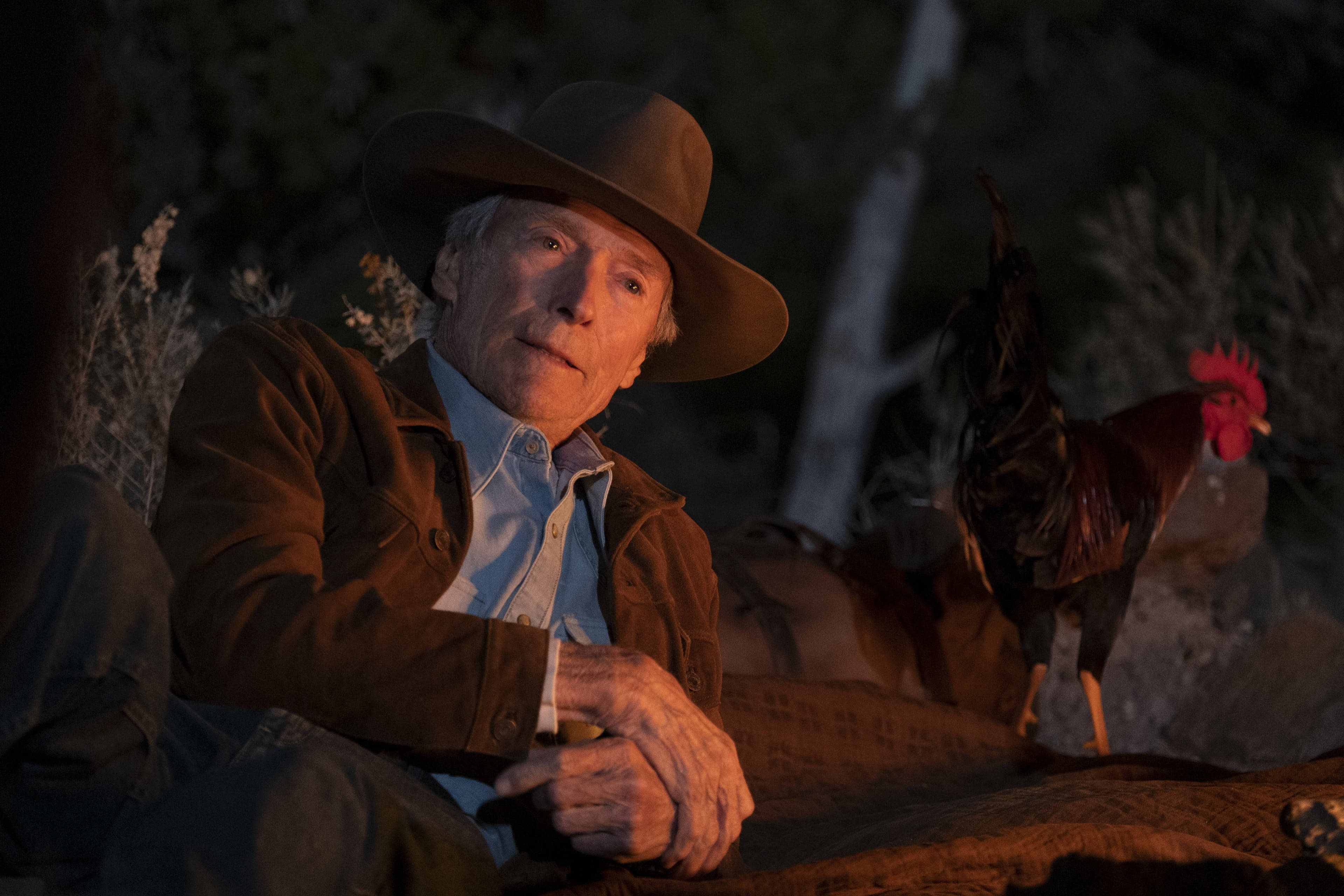 Clint Eastwood, cowboy hat, rooster, 4K Desktop Wallpaper