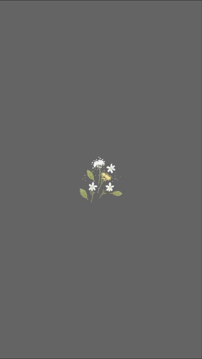 white flower, yellow flower, gray background, SD Phone Wallpaper