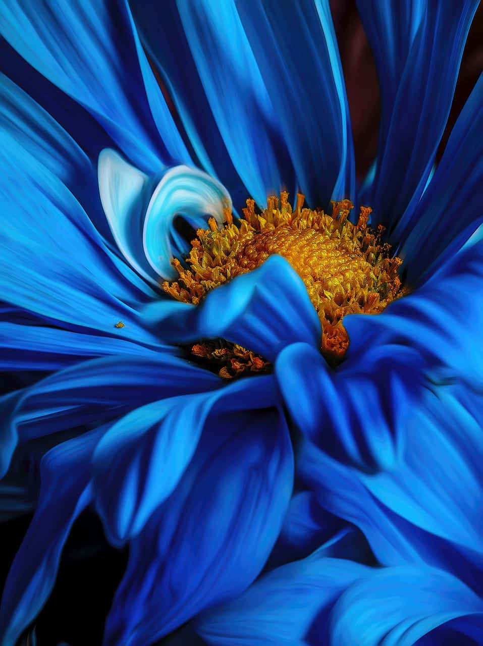 breathtaking close up flower bloom, vibrant blue petals, golden center, HD Phone Wallpaper