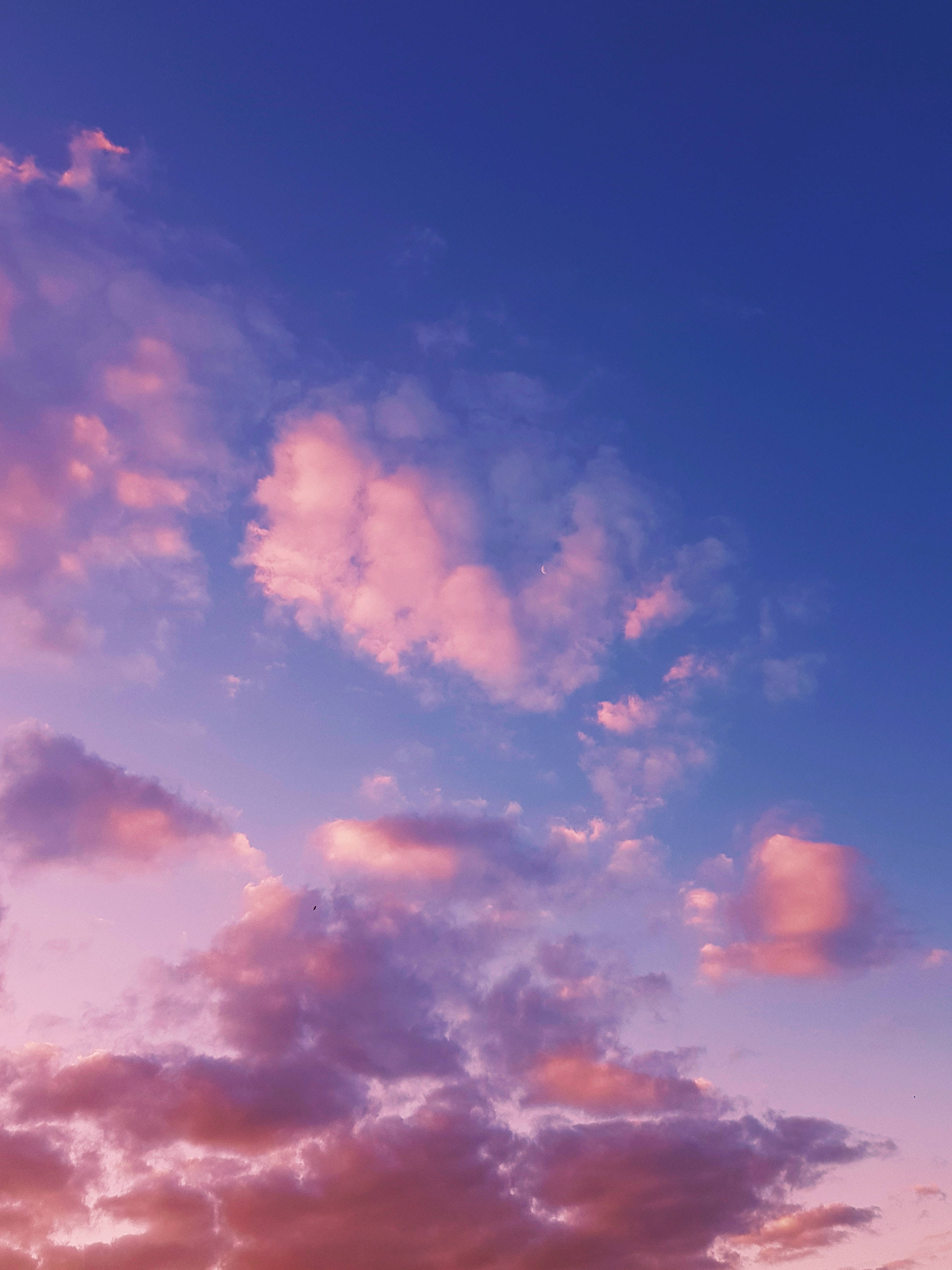 dark pink, blue, cloud, 4K Phone Wallpaper