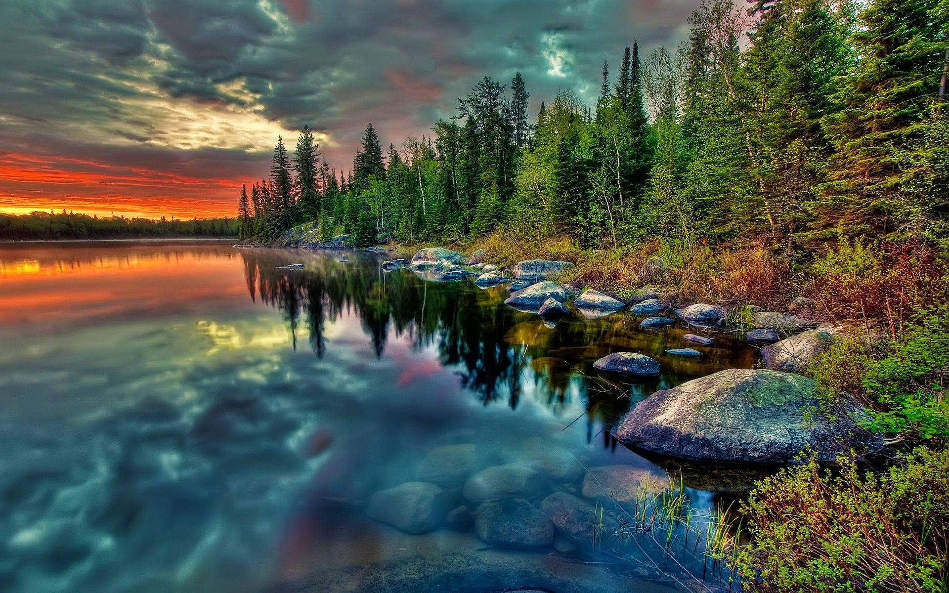 sunset, fiery orange clouds, dark pine trees, Full HD Desktop Wallpaper