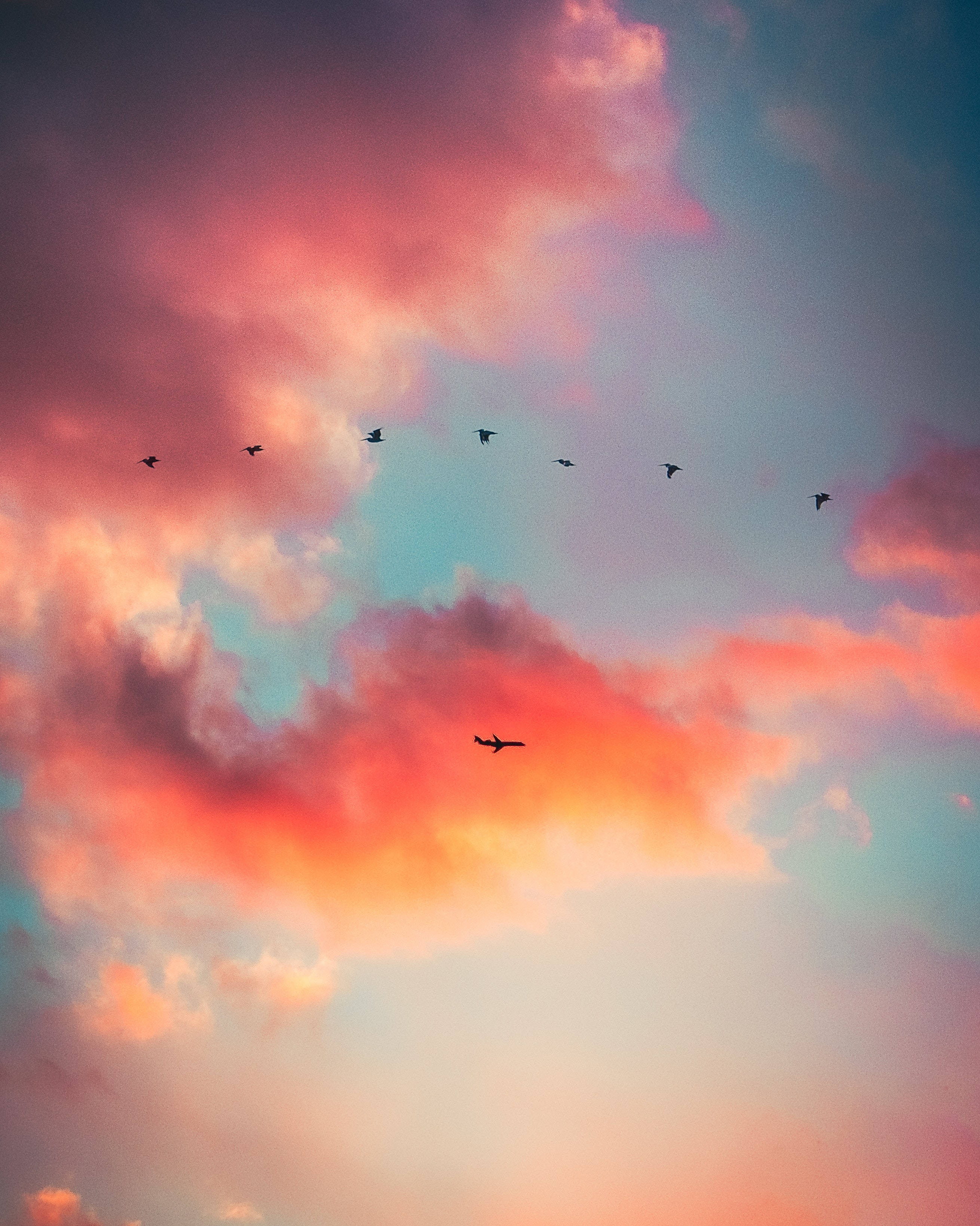Birds, sunset sky, pink orange and teal clouds, 2K Phone Wallpaper
