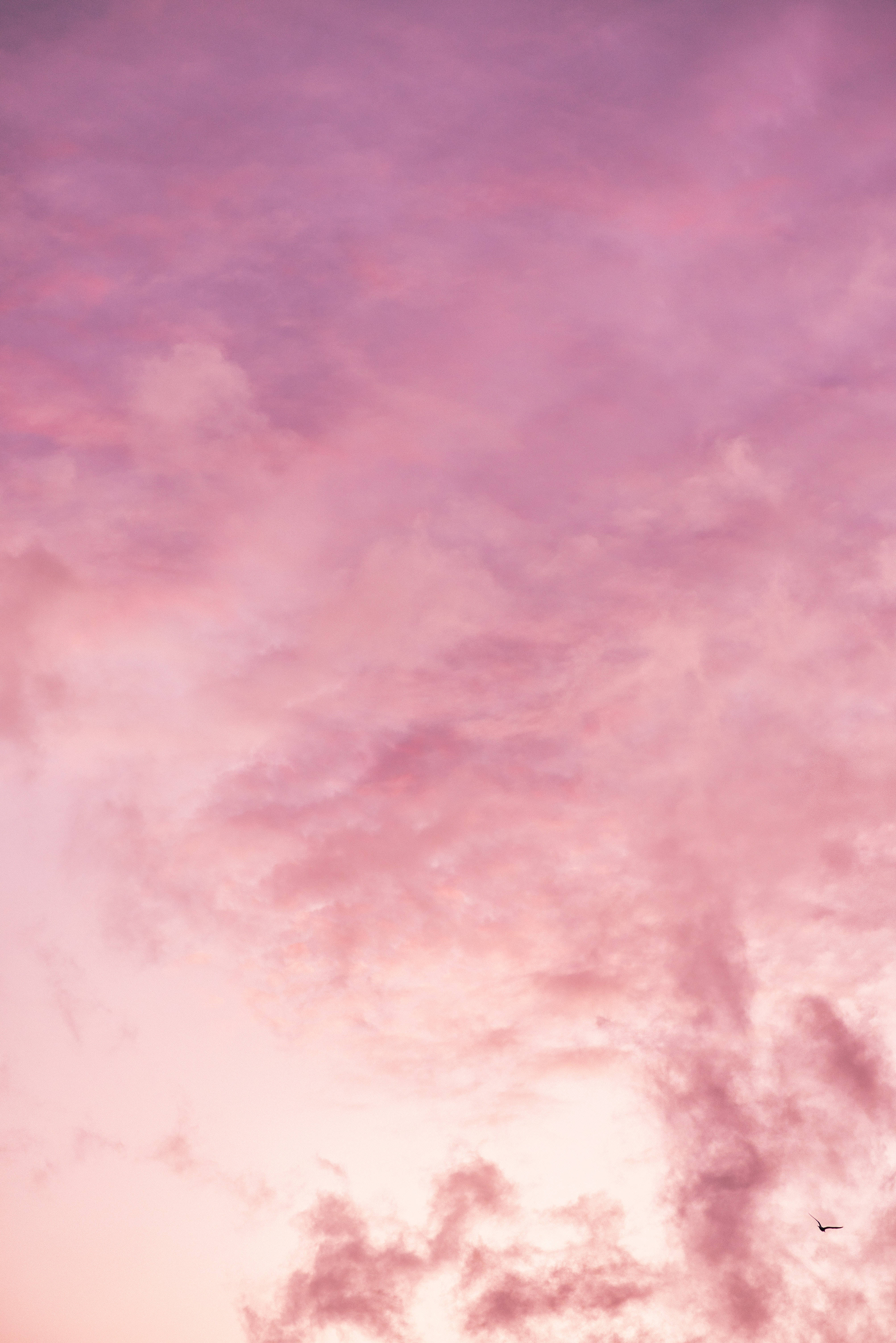Pink Cloud iPhone, soft pink, lavender sky, 5K Phone Wallpaper