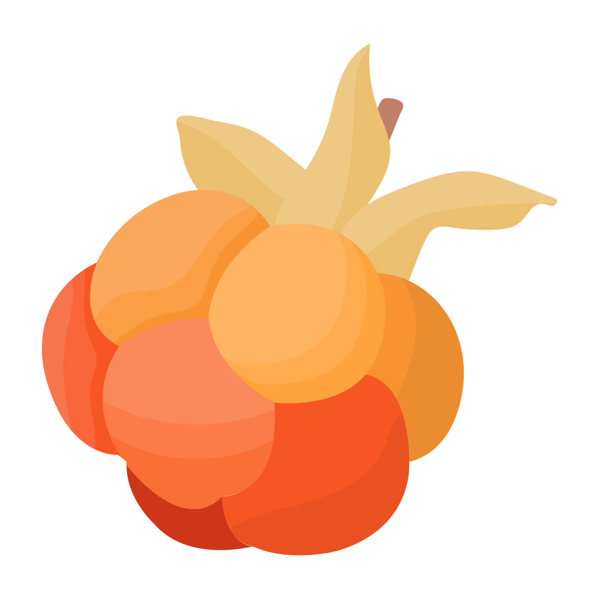 Cloudberry, vibrant orange persimmons, yellow leaves, Full HD Desktop Wallpaper
