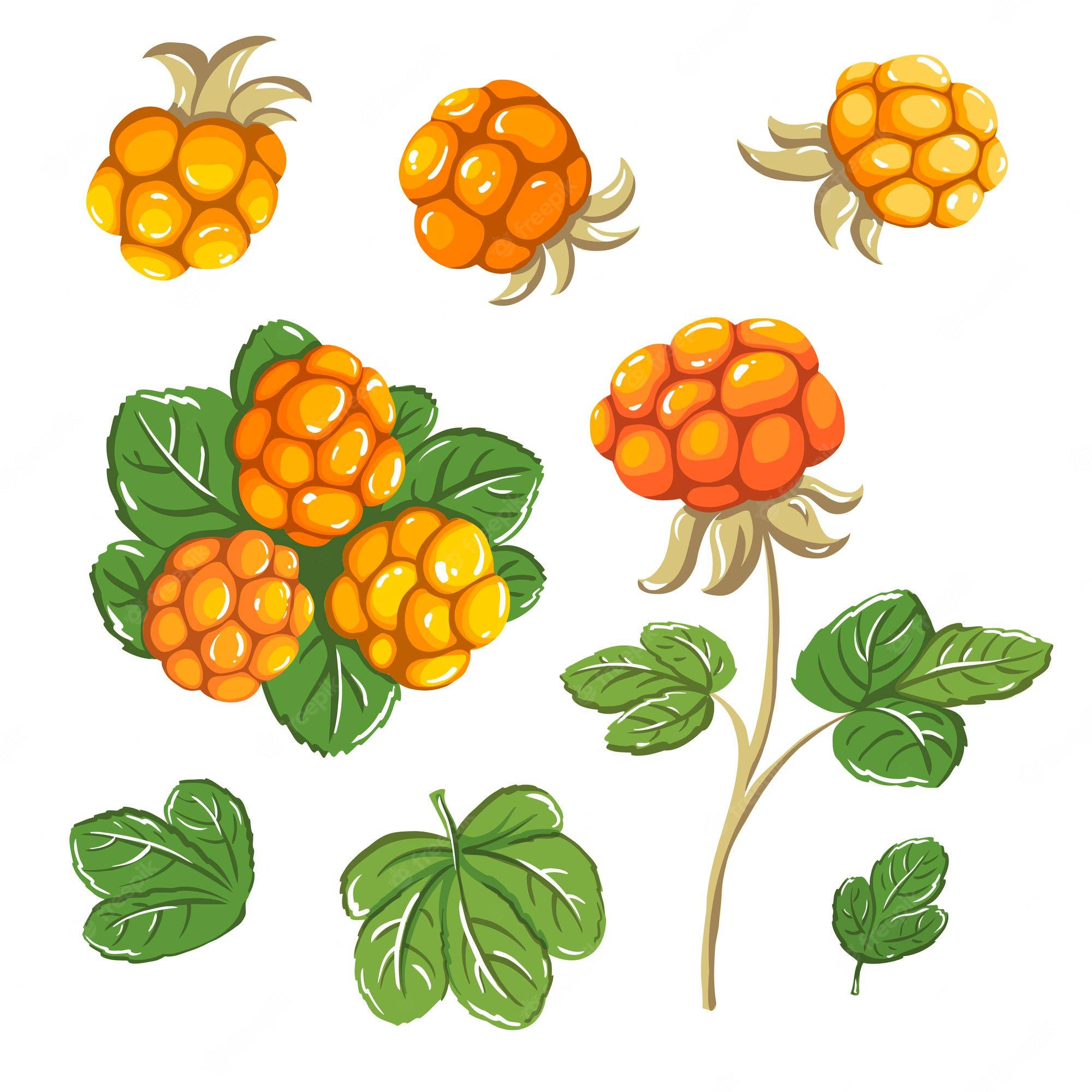 cloudberries, leaves, cartoon style, Full HD Desktop Wallpaper