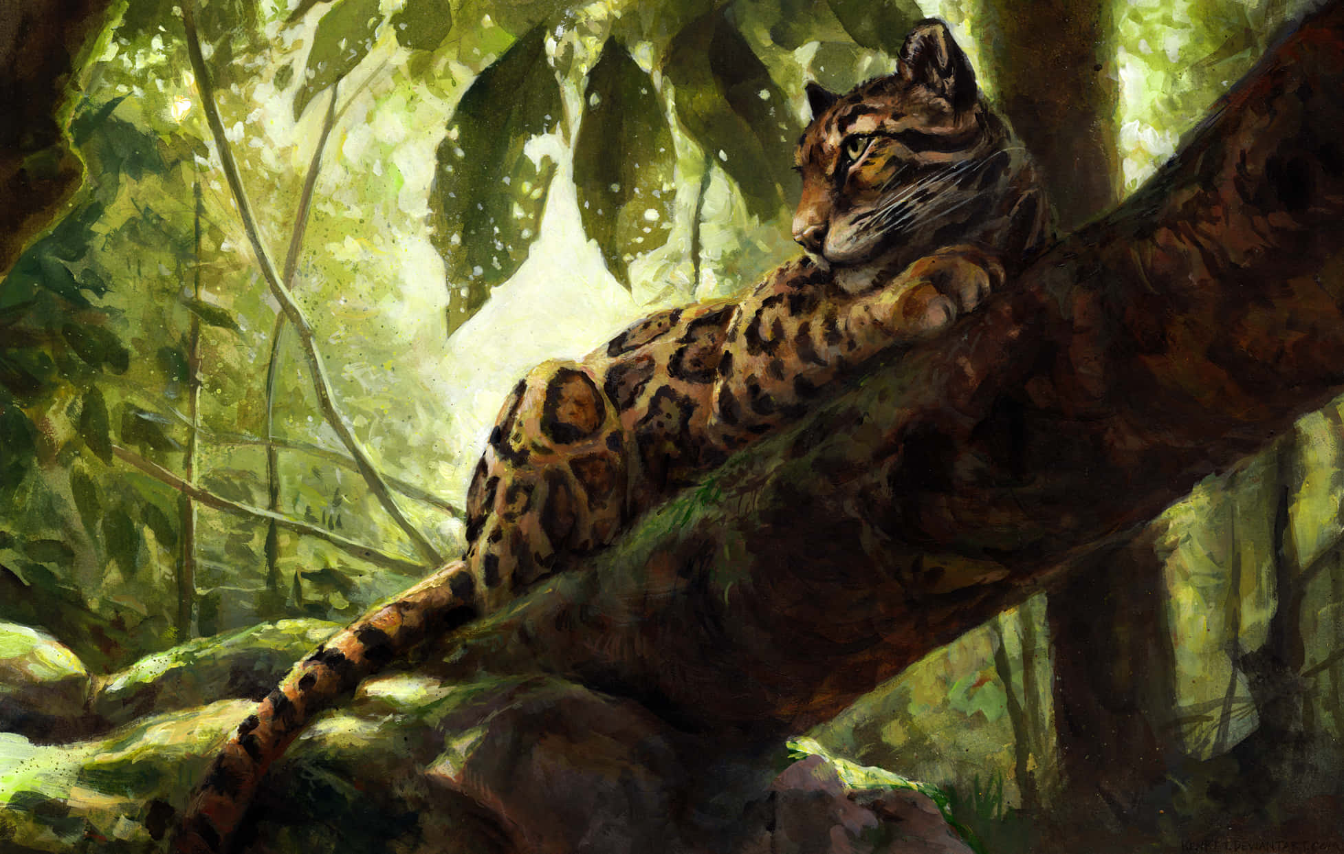 Clouded Leopard, forest, mossy tree branch, Full HD Desktop Wallpaper