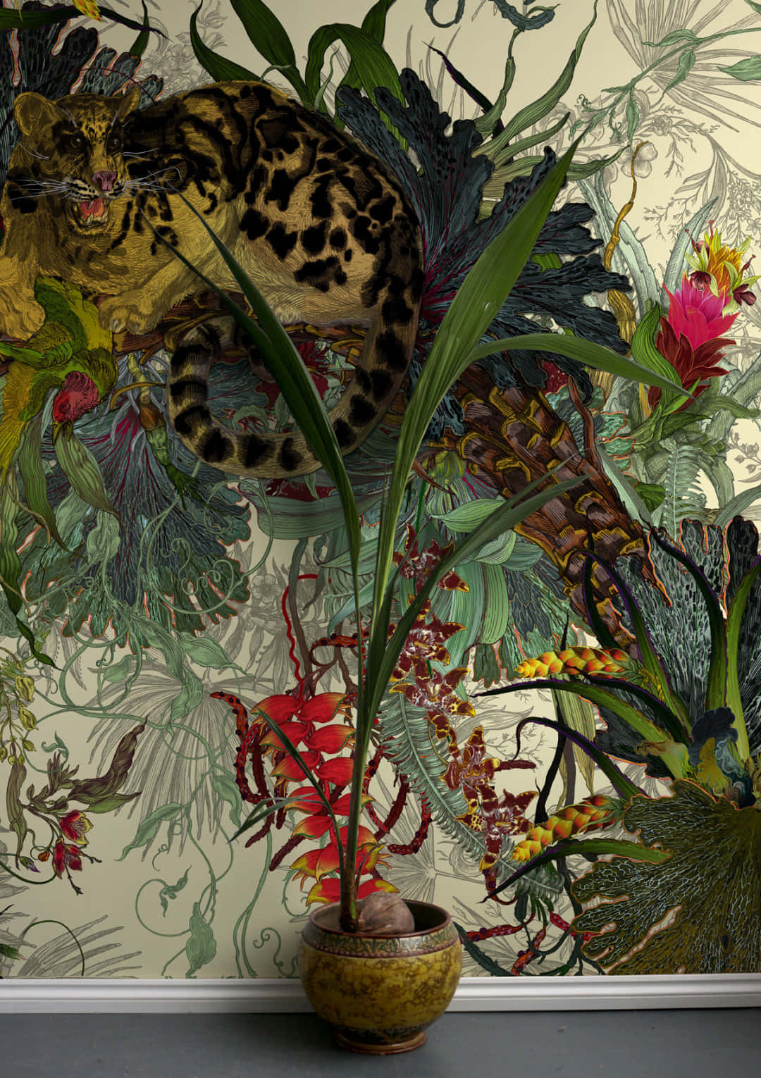 Clouded Leopard, tropical flora, jungle, HD Phone Wallpaper