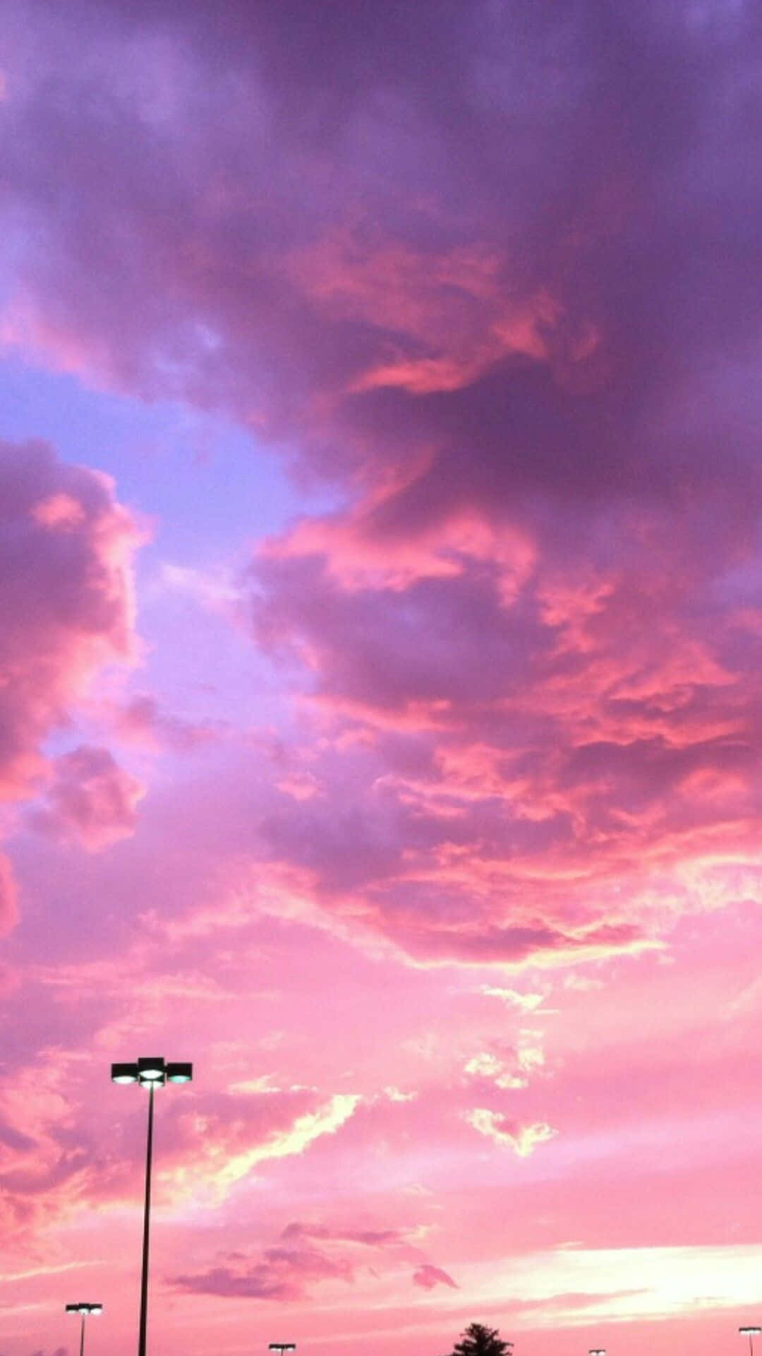 vibrant pink and purple sunset sky, textured clouds, silhouetted streetlights, Full HD Phone Wallpaper