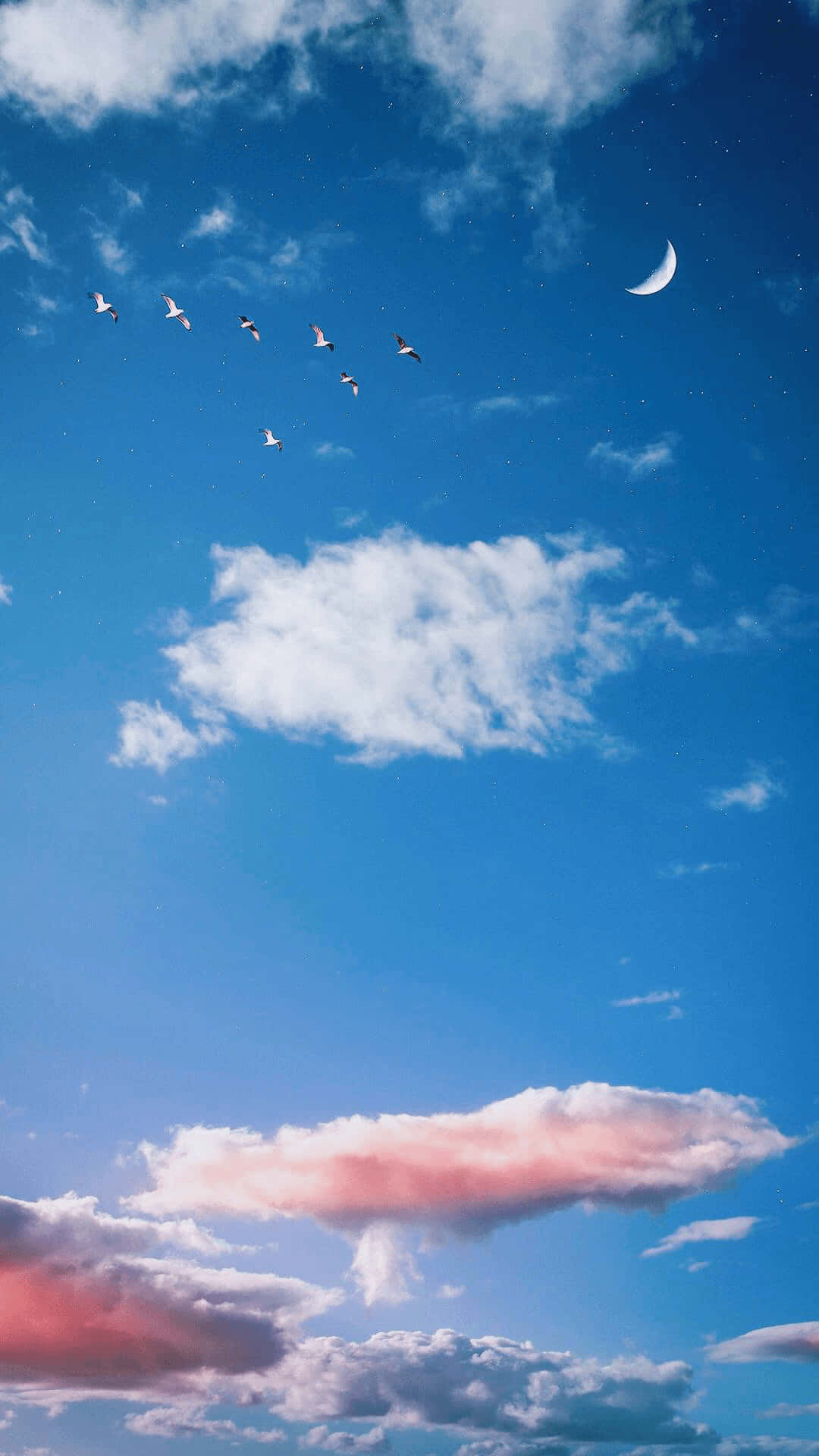 crescent moon, V-shaped flock of birds, pink and white clouds, Full HD Phone Wallpaper