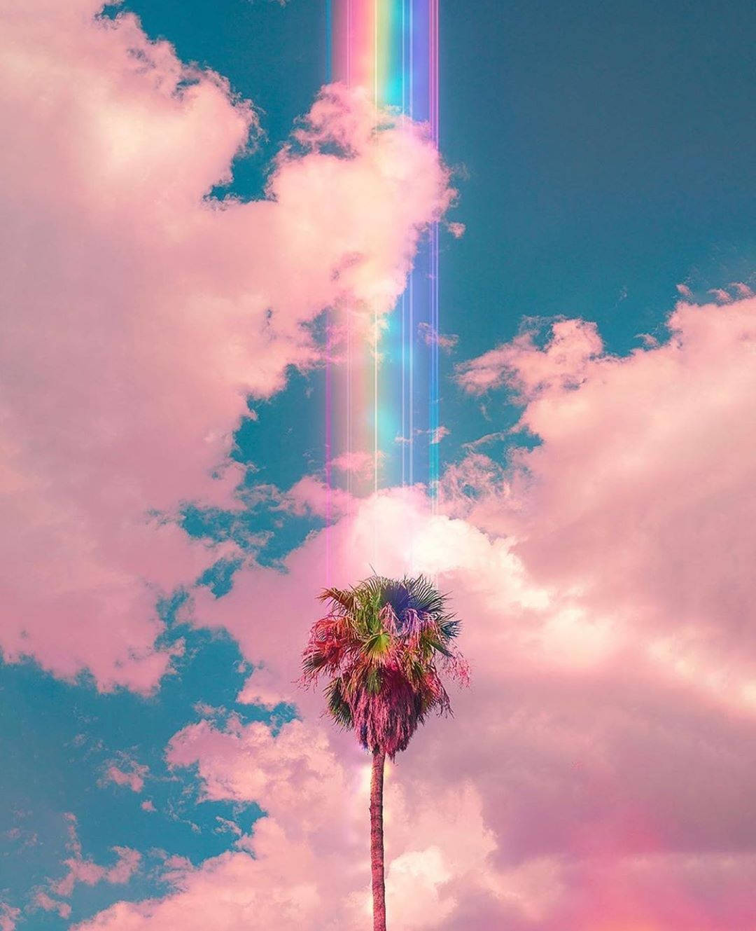 coconut tree, surreal sky, vibrant rainbow beam, HD Phone Wallpaper