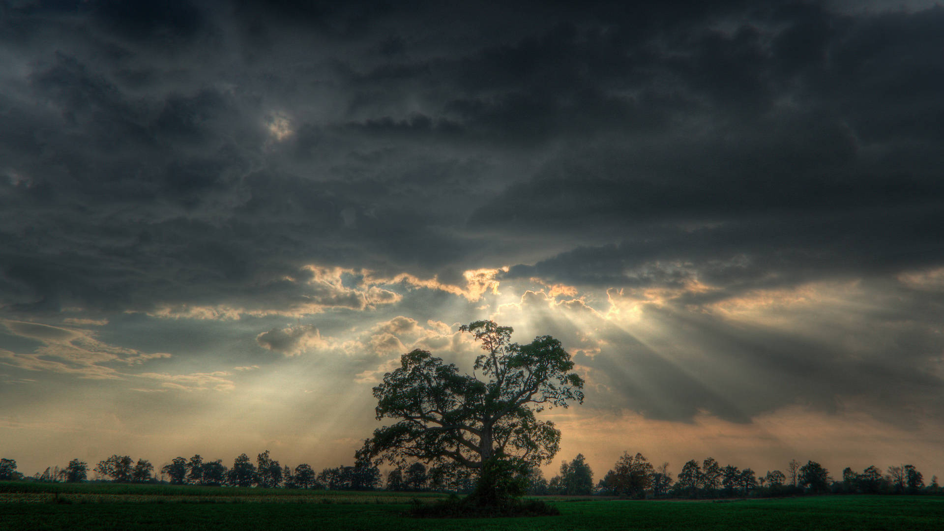 dramatic sunbeams, dark storm clouds, dusk, Full HD Desktop Wallpaper