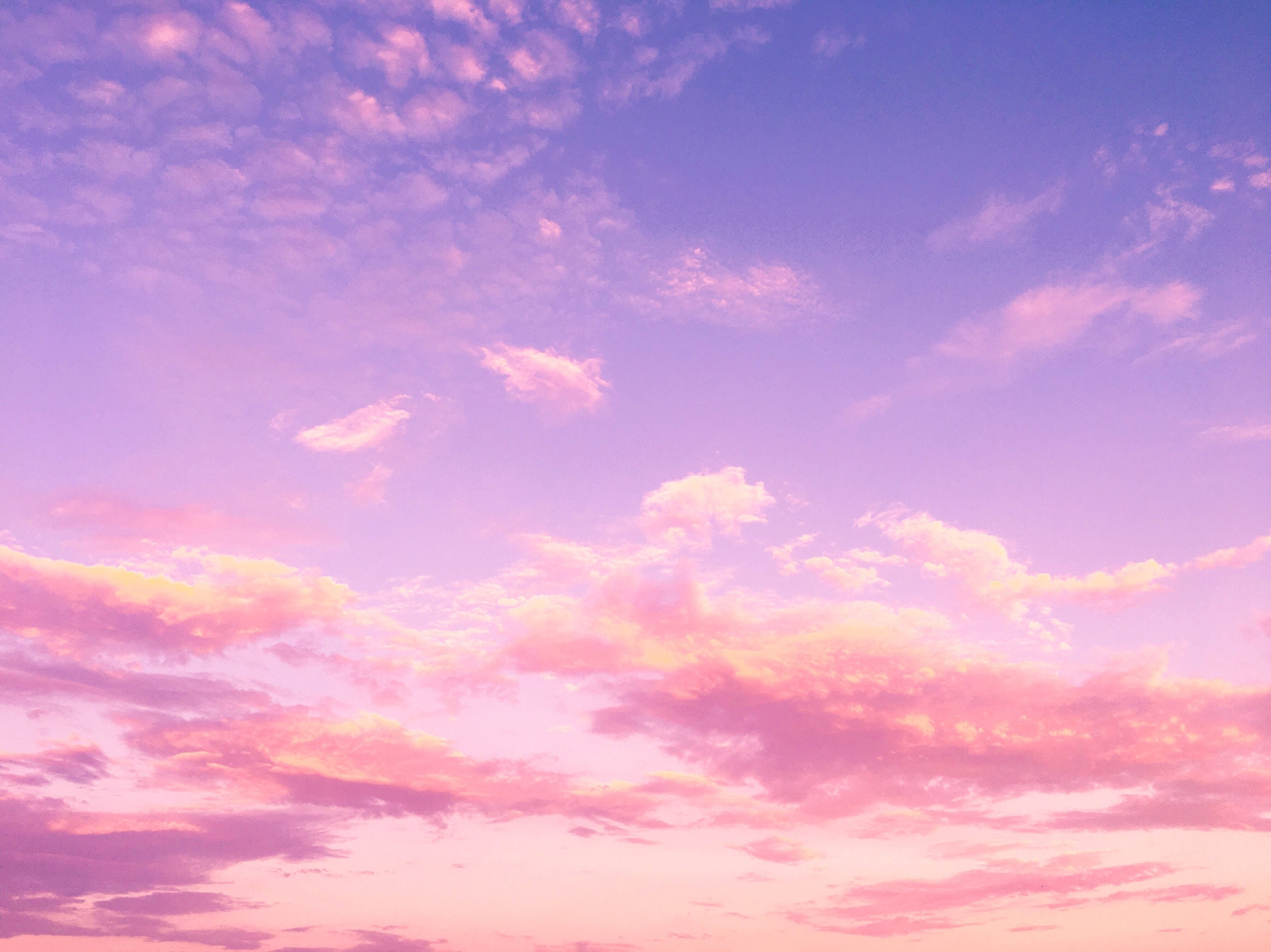 Pink Lilac Clouds, twilight sky, soft pink purple, 4K Desktop Wallpaper