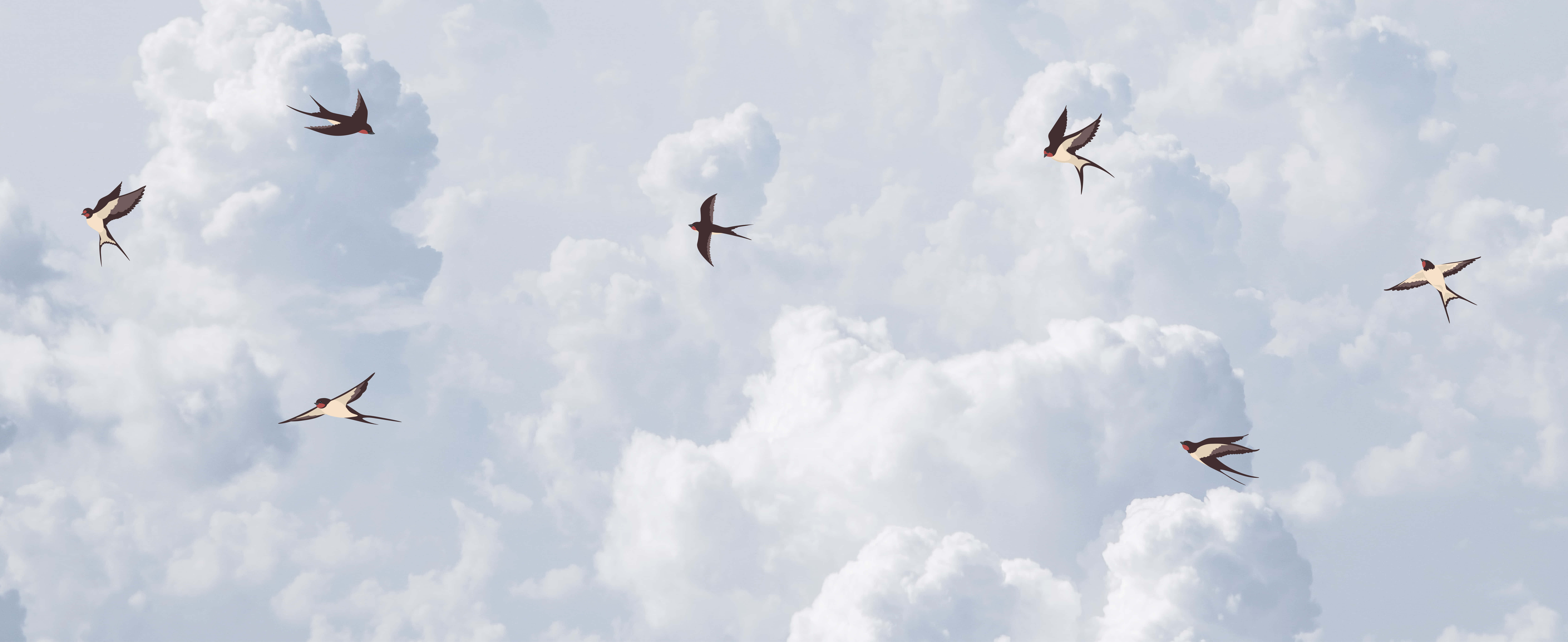beautiful blue sky, soft white clouds, six swallows, 8K Desktop Wallpaper