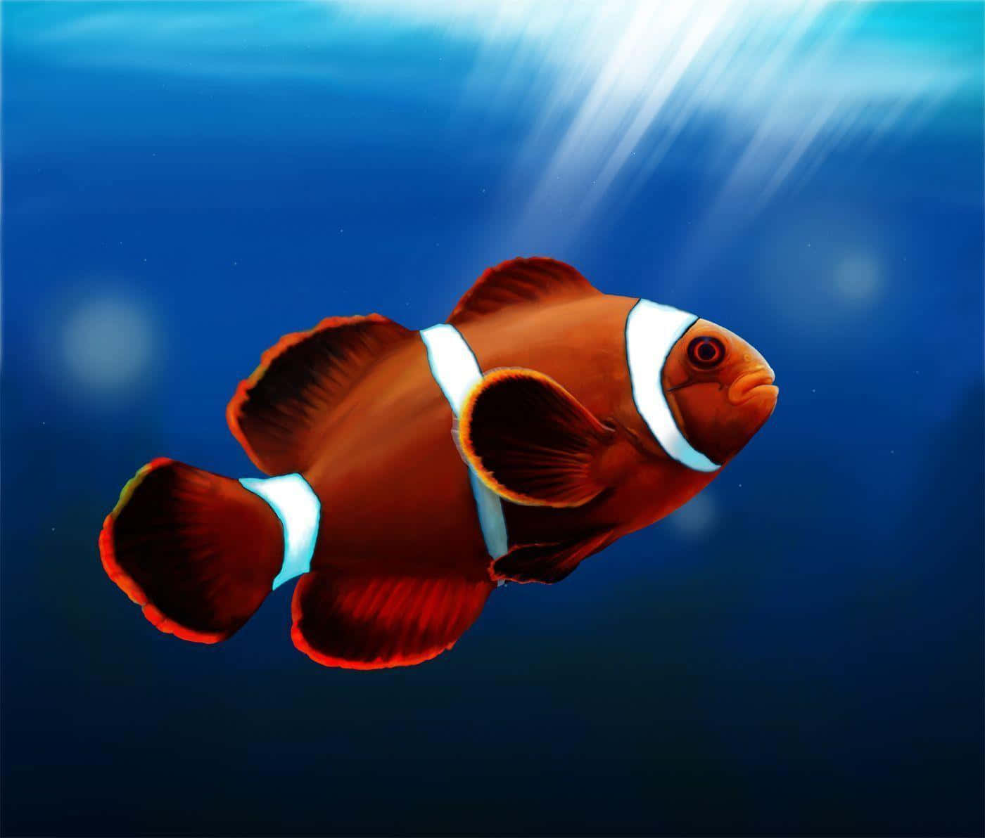 vibrant orange clownfish, white stripes, deep blue ocean water, HD Desktop Wallpaper