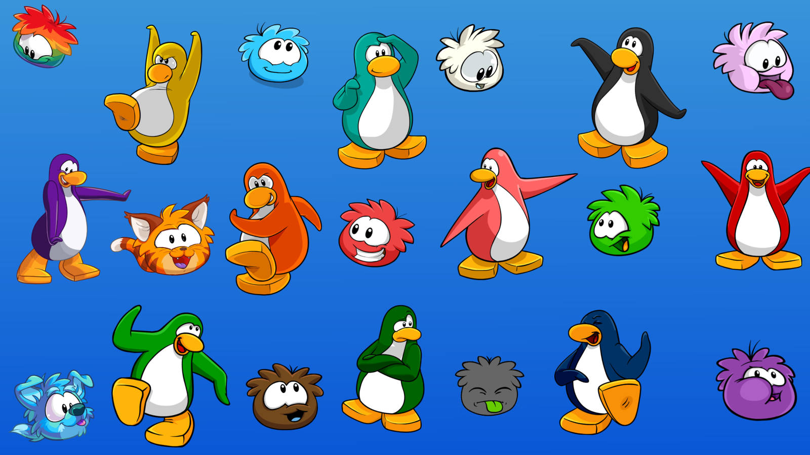 Club Penguin, colorful cartoon penguins, animals, HD Desktop Wallpaper