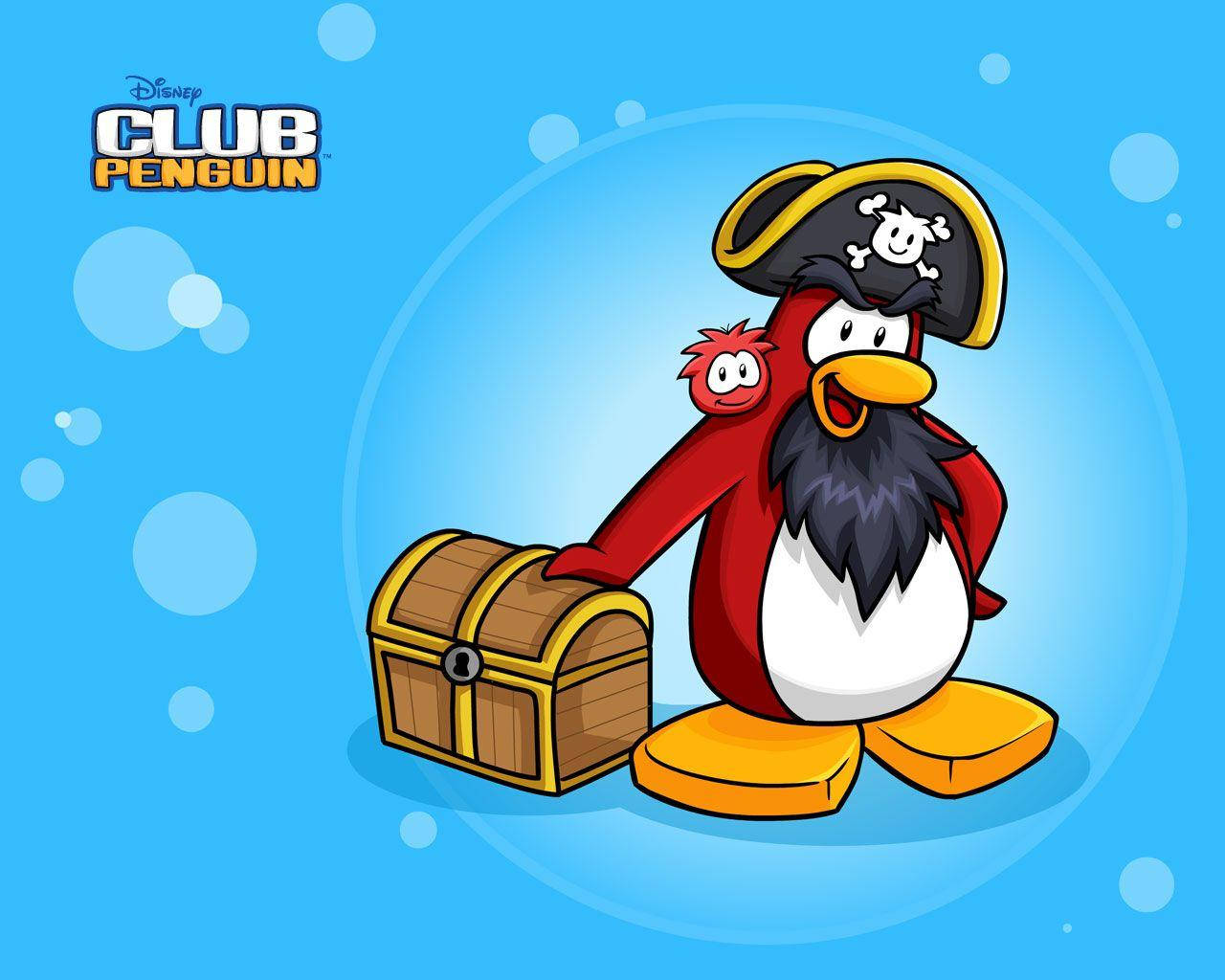 Club Penguin, pirate, skull hat, HD Desktop Wallpaper
