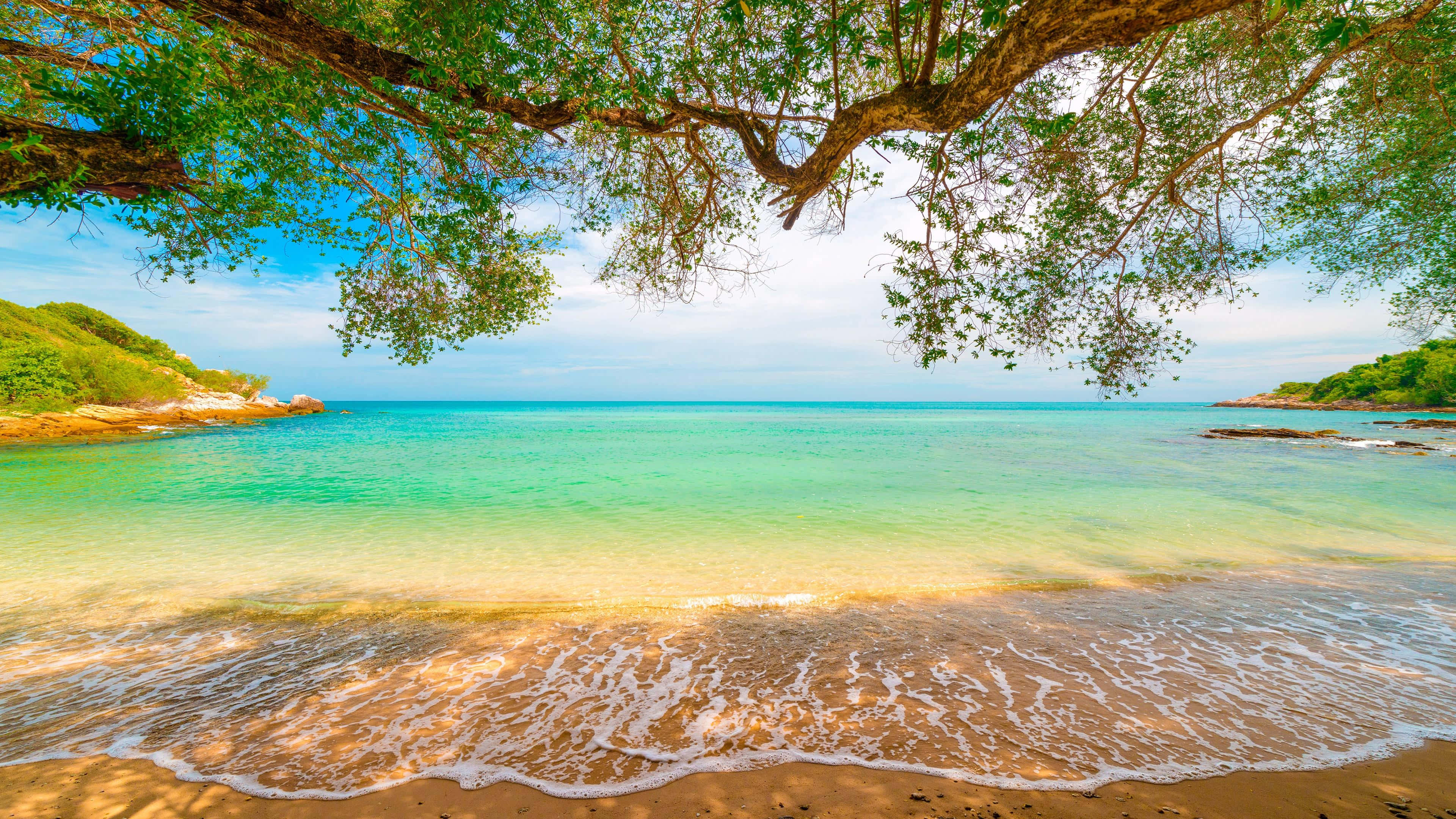 Coast, tropical beach, lush tree canopy, 4K Desktop Wallpaper