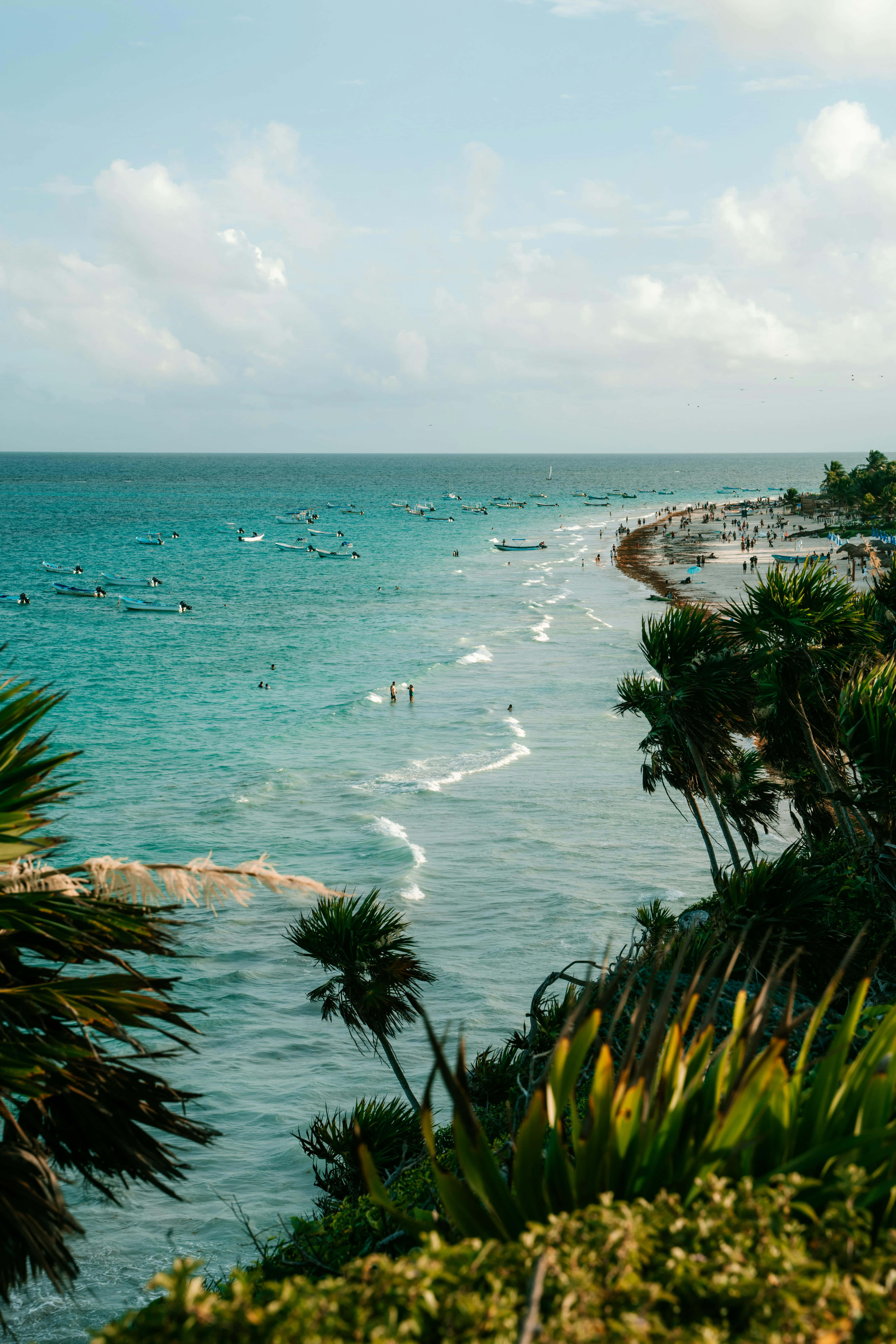 tropical beachside bliss, turquoise ocean, sandy beach, 5K Phone Wallpaper