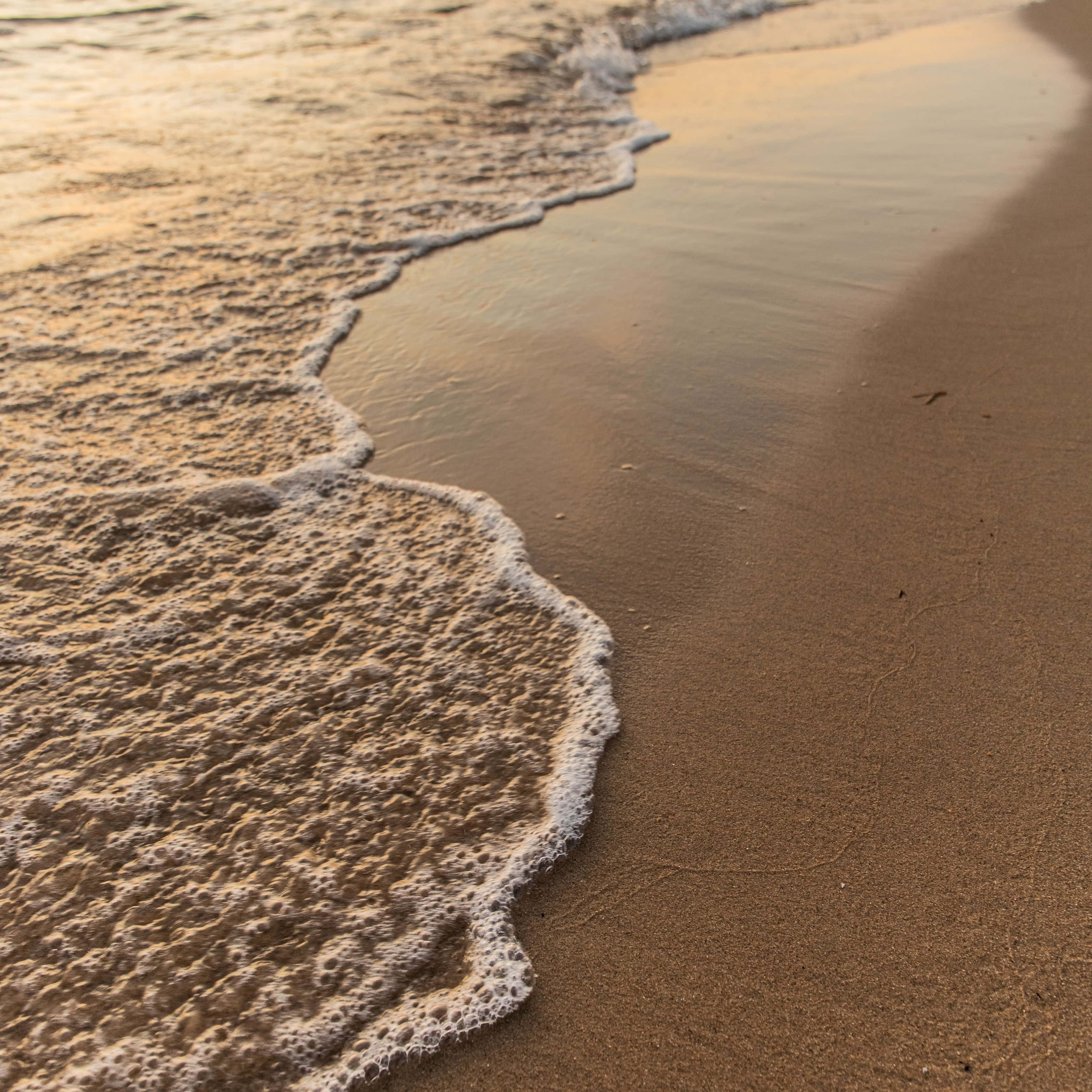 serene beach waves sunset, wet golden sand, sunrise or sunset, 2K Desktop Wallpaper