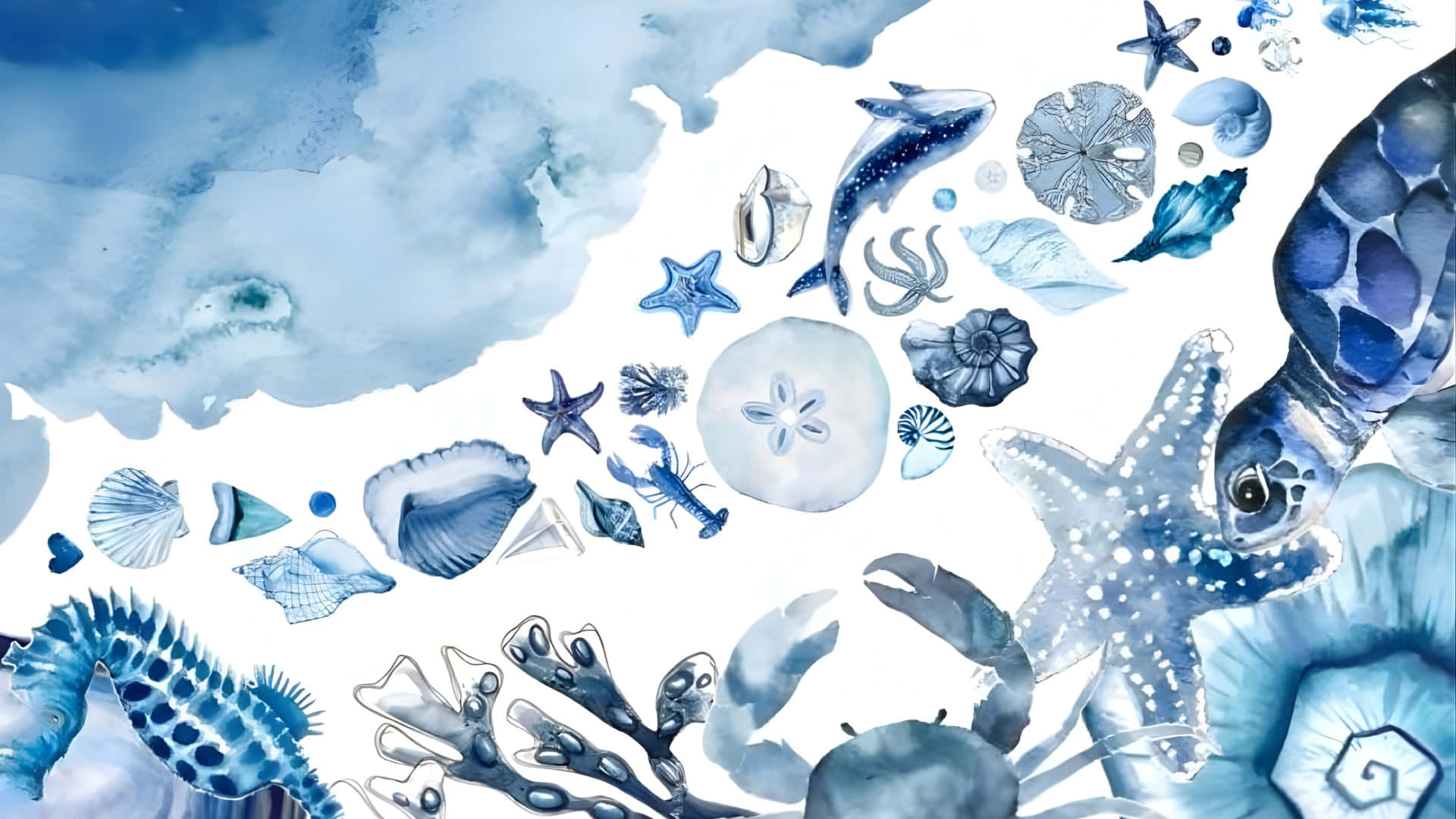 blue sea turtles, starfish, seahorses, Full HD Desktop Wallpaper