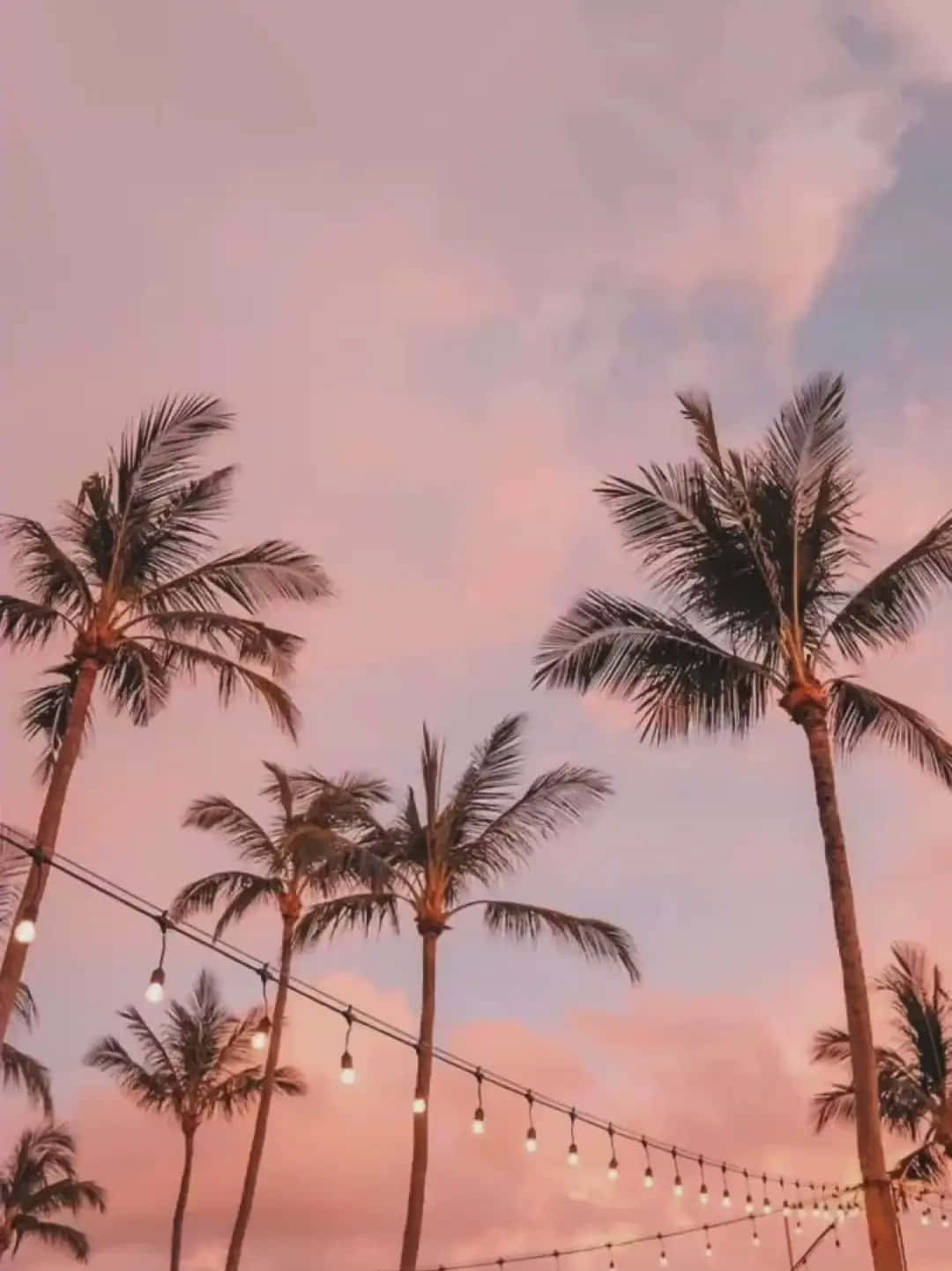 tropical sunset, palm trees, string lights, HD Phone Wallpaper