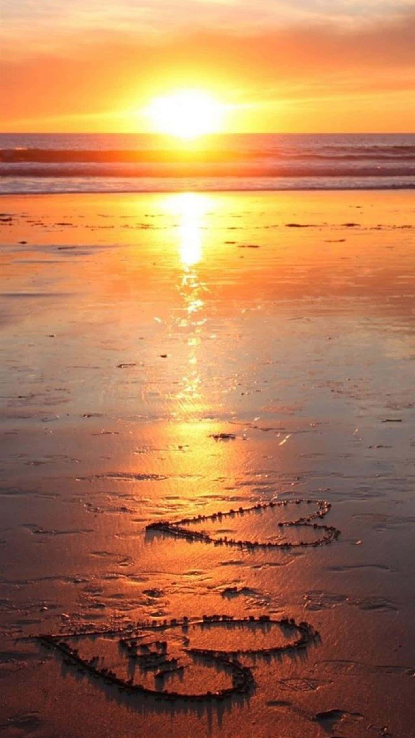 Coastal Sunset, golden sunset, wet beach, 2K Phone Wallpaper