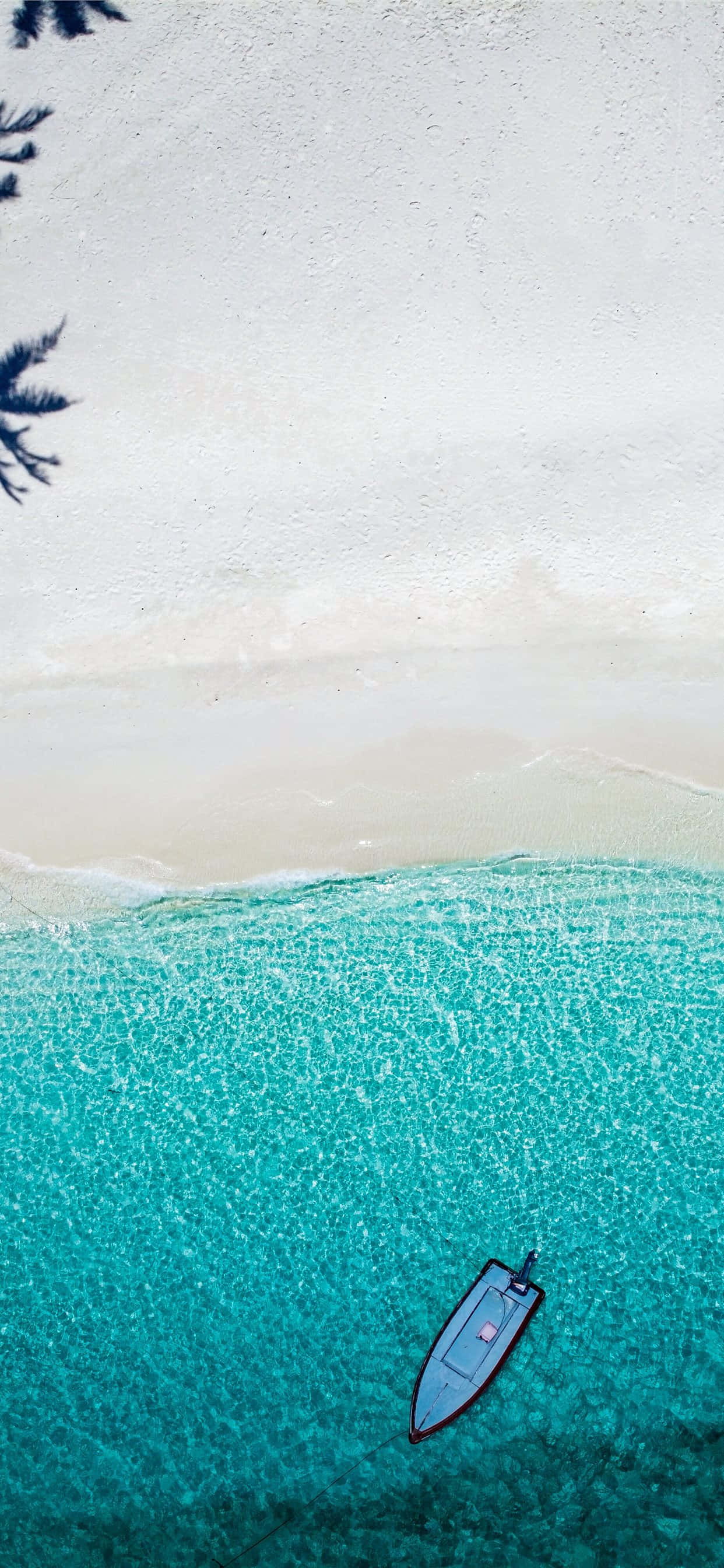 beach photography, 1242 x 2688 wallpaper, serene beachfront sunset wallpaper, 2K Phone Wallpaper