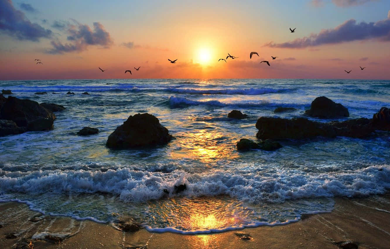 Coastal Sunset, ocean, waves, HD Desktop Wallpaper