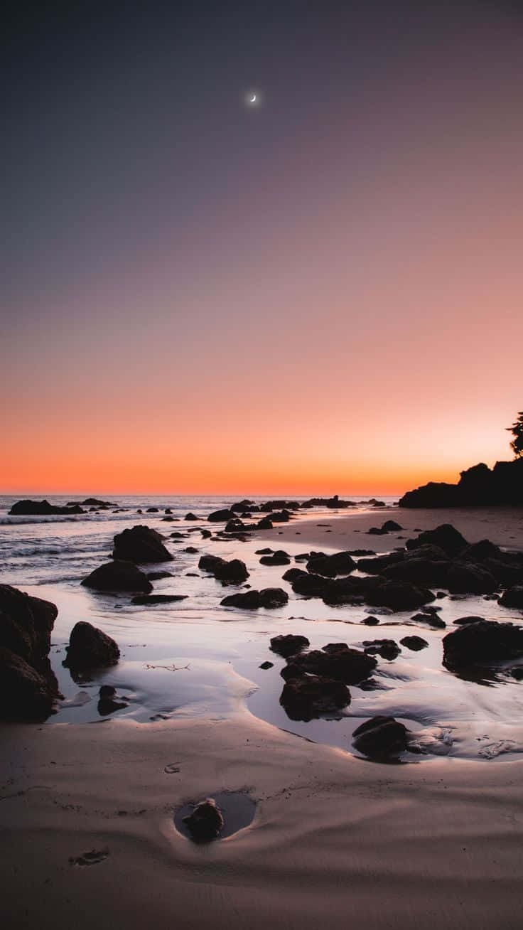 Coastal Sunset, twilight beach, scattered rocks, HD Phone Wallpaper