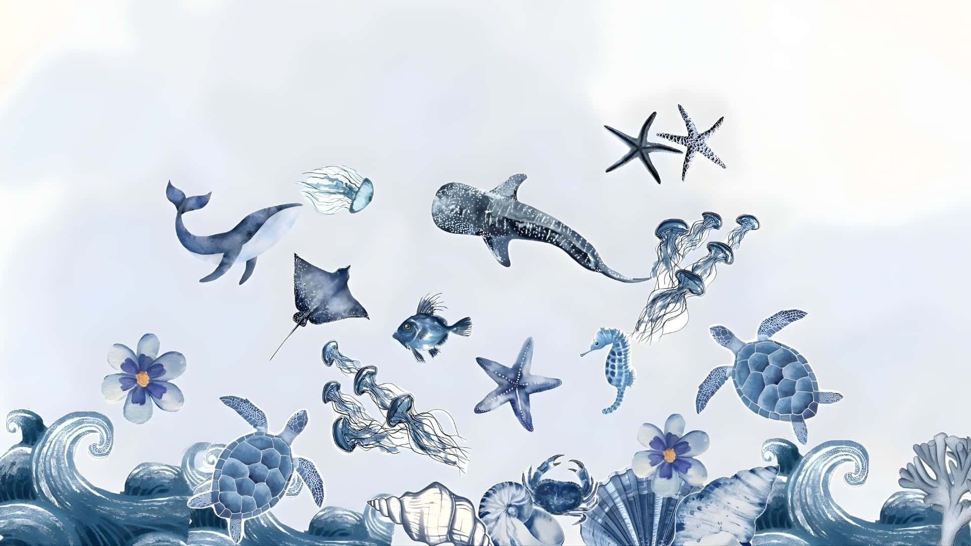 coastal, whales, jellyfish, Full HD Desktop Wallpaper