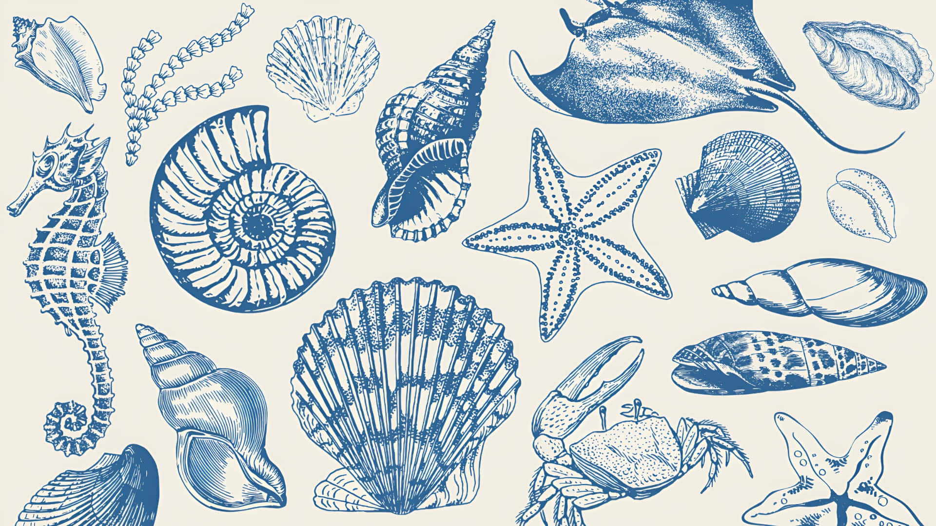 vintage blue ink illustration, assorted sea creatures, shells, Full HD Desktop Wallpaper